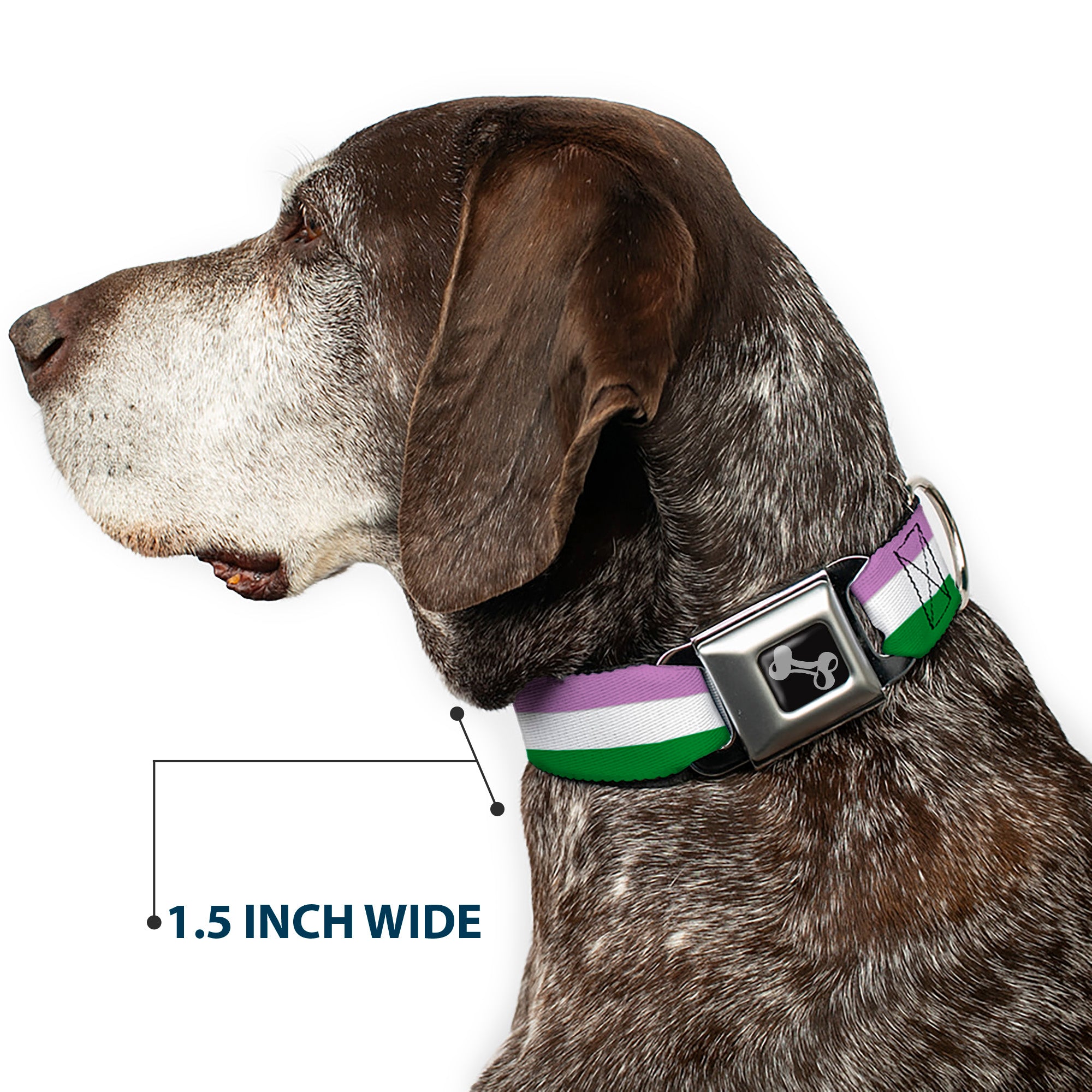 Dog Bone Seatbelt Buckle Collar - Flag Genderqueer Lavender/White/Green Seatbelt Buckle Collars Buckle-Down