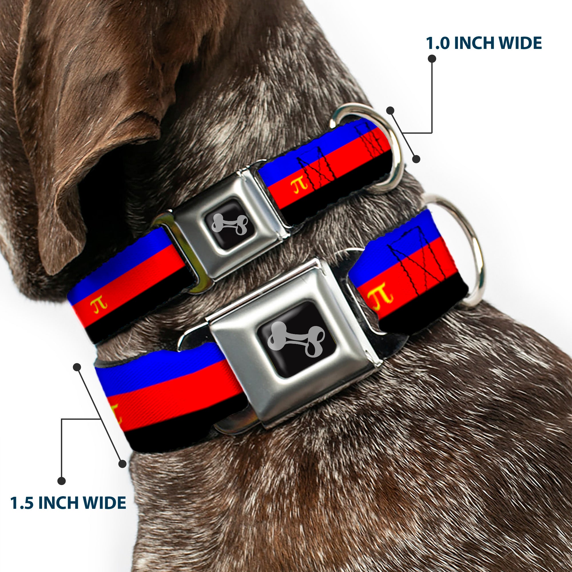 Dog Bone Seatbelt Buckle Collar - Flag Polyamorous Pi Symbol Blue/Red/Black/Yellow Seatbelt Buckle Collars Buckle-Down