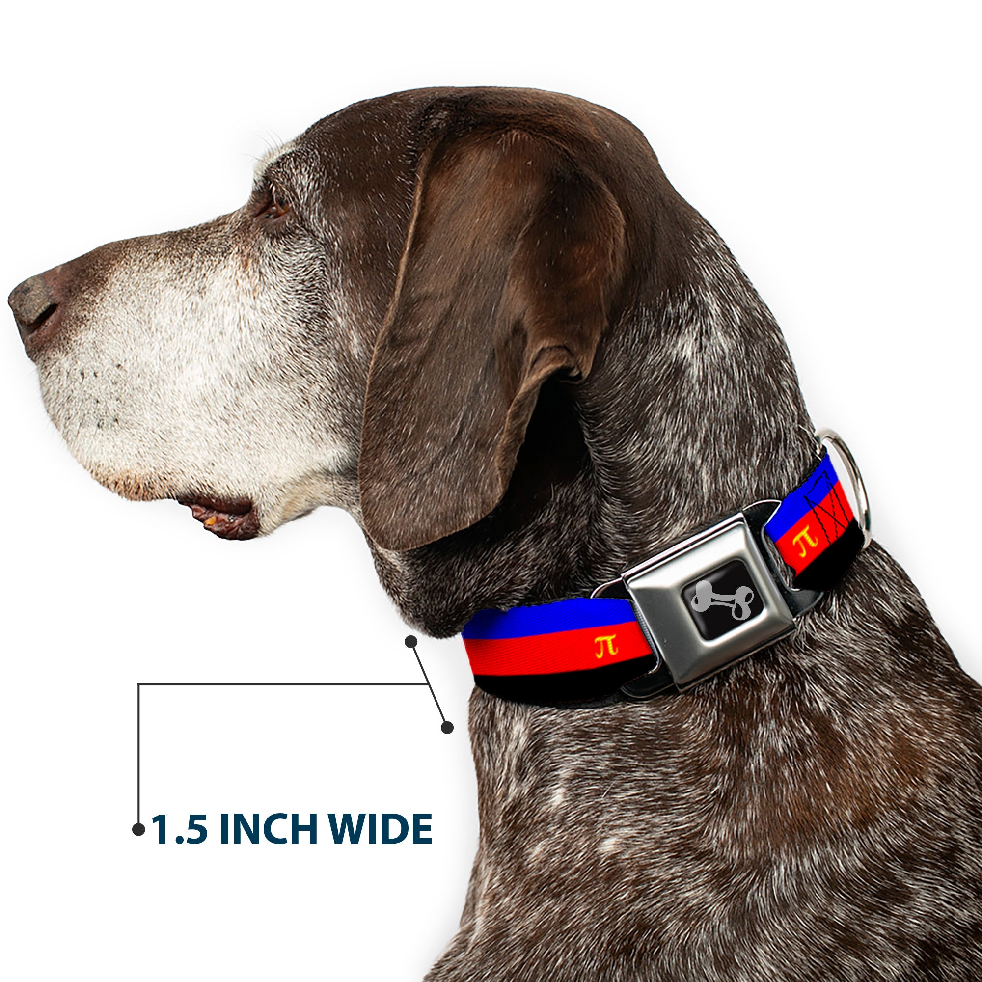 Dog Bone Seatbelt Buckle Collar - Flag Polyamorous Pi Symbol Blue/Red/Black/Yellow Seatbelt Buckle Collars Buckle-Down