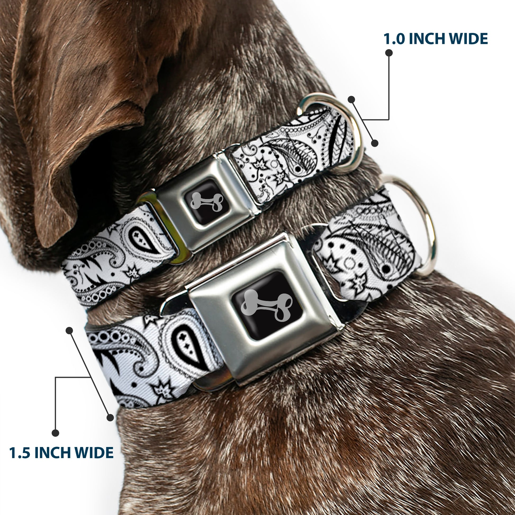 Dog Bone Seatbelt Buckle Collar - Floral Paisley3 White/Black Seatbelt Buckle Collars Buckle-Down