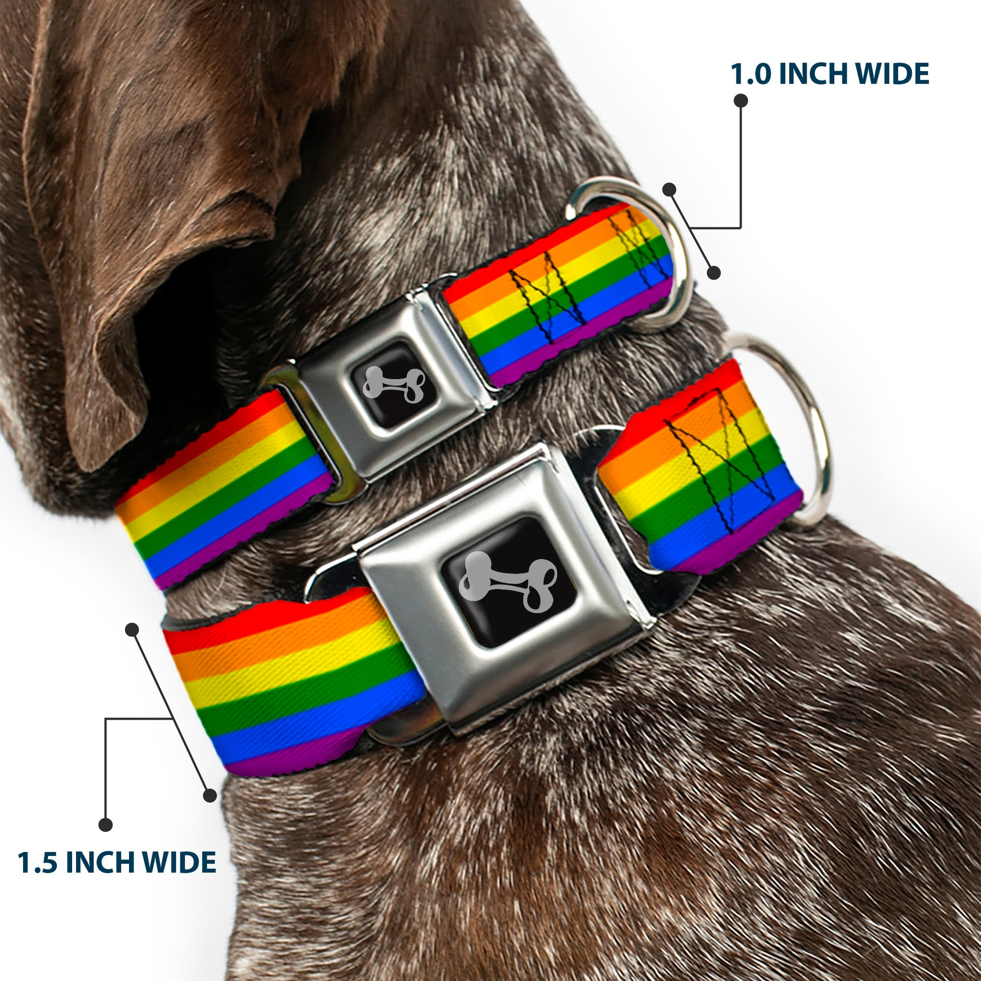 Dog Bone Seatbelt Buckle Collar - Flag Pride Rainbow Seatbelt Buckle Collars Buckle-Down