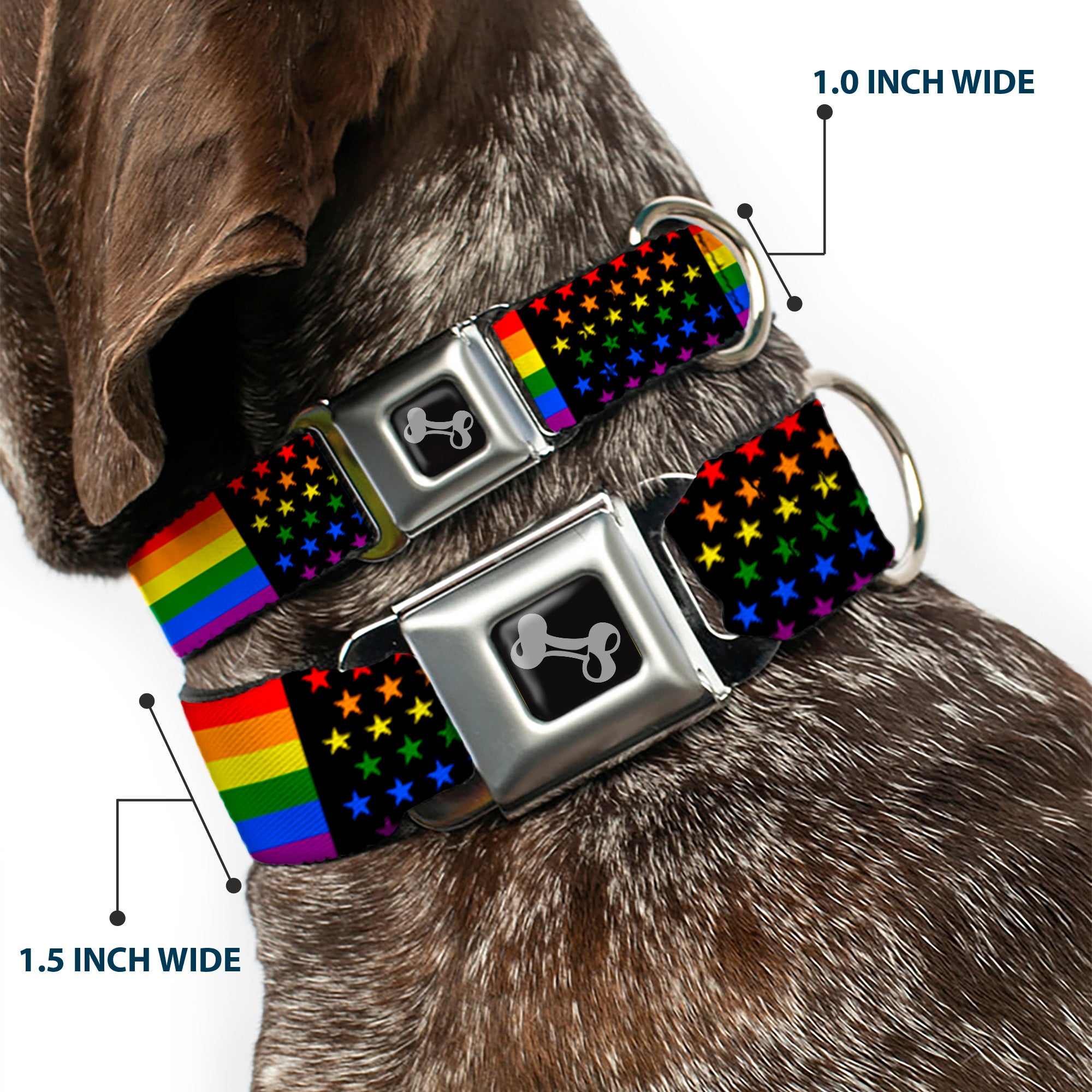 Dog Bone Seatbelt Buckle Collar - Flag American Pride Rainbow/Black Seatbelt Buckle Collars Buckle-Down