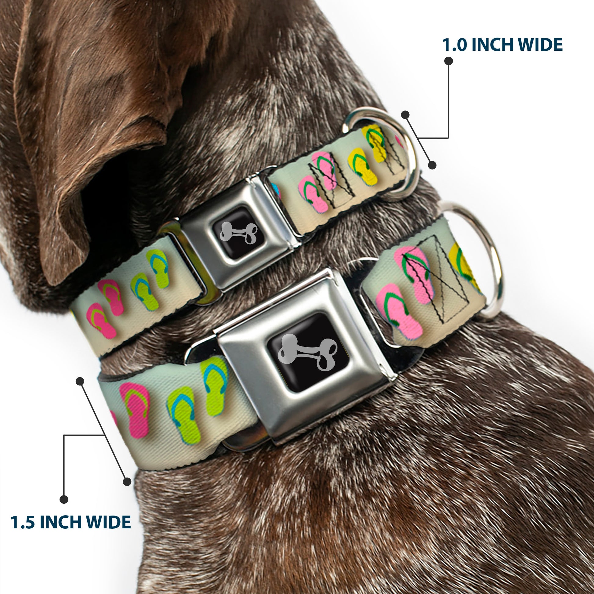 Dog Bone Seatbelt Buckle Collar - Flip Flops2 Aqua/Multi Color Seatbelt Buckle Collars Buckle-Down