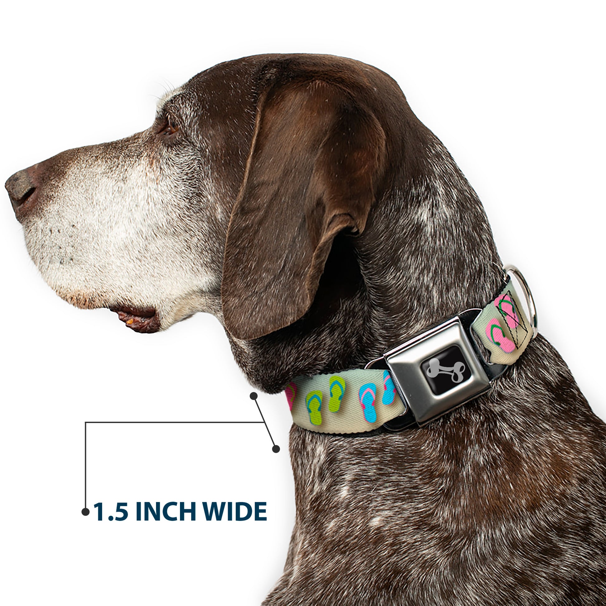 Dog Bone Seatbelt Buckle Collar - Flip Flops2 Aqua/Multi Color Seatbelt Buckle Collars Buckle-Down