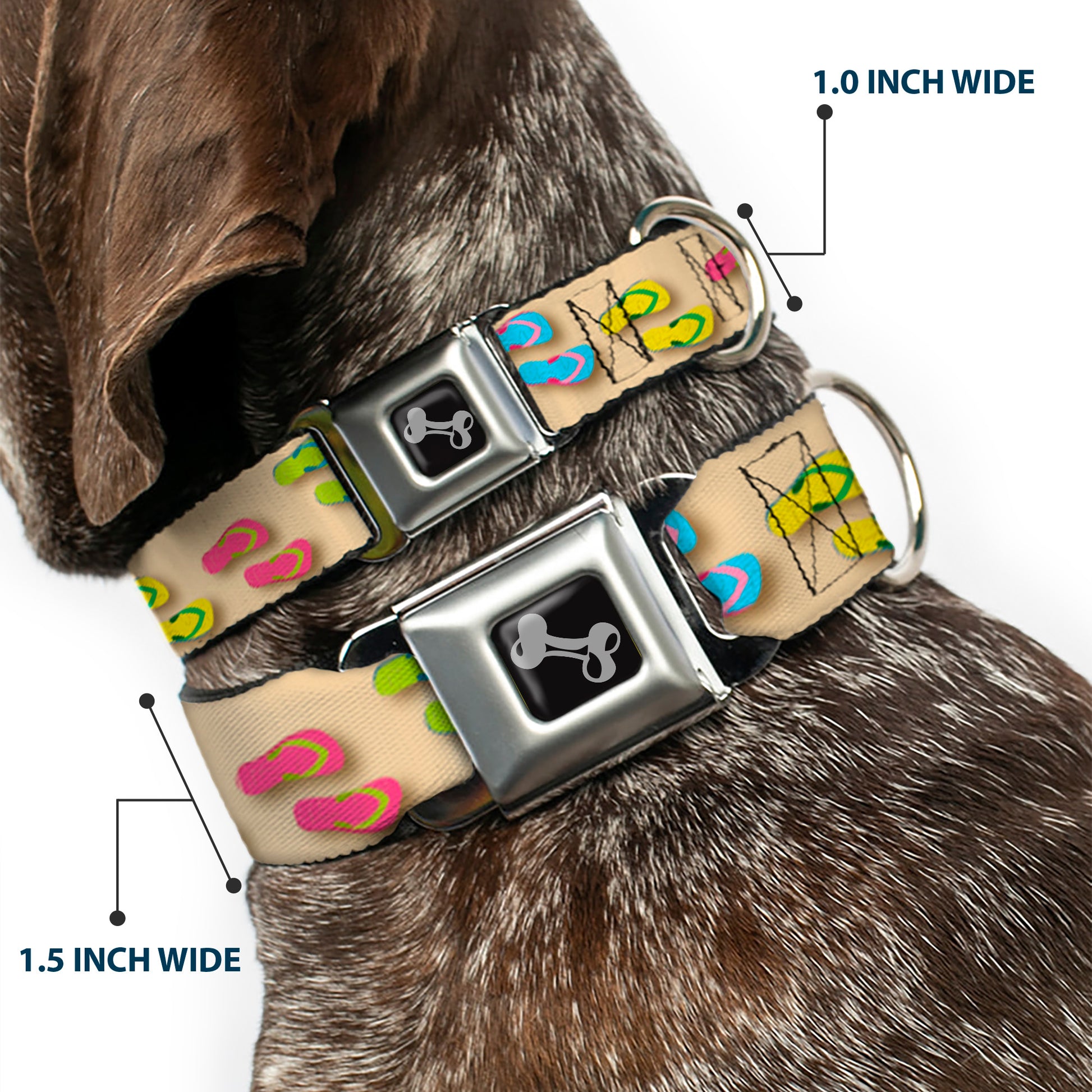 Dog Bone Seatbelt Buckle Collar - Flip Flops3 Sand/Multi Color Seatbelt Buckle Collars Buckle-Down