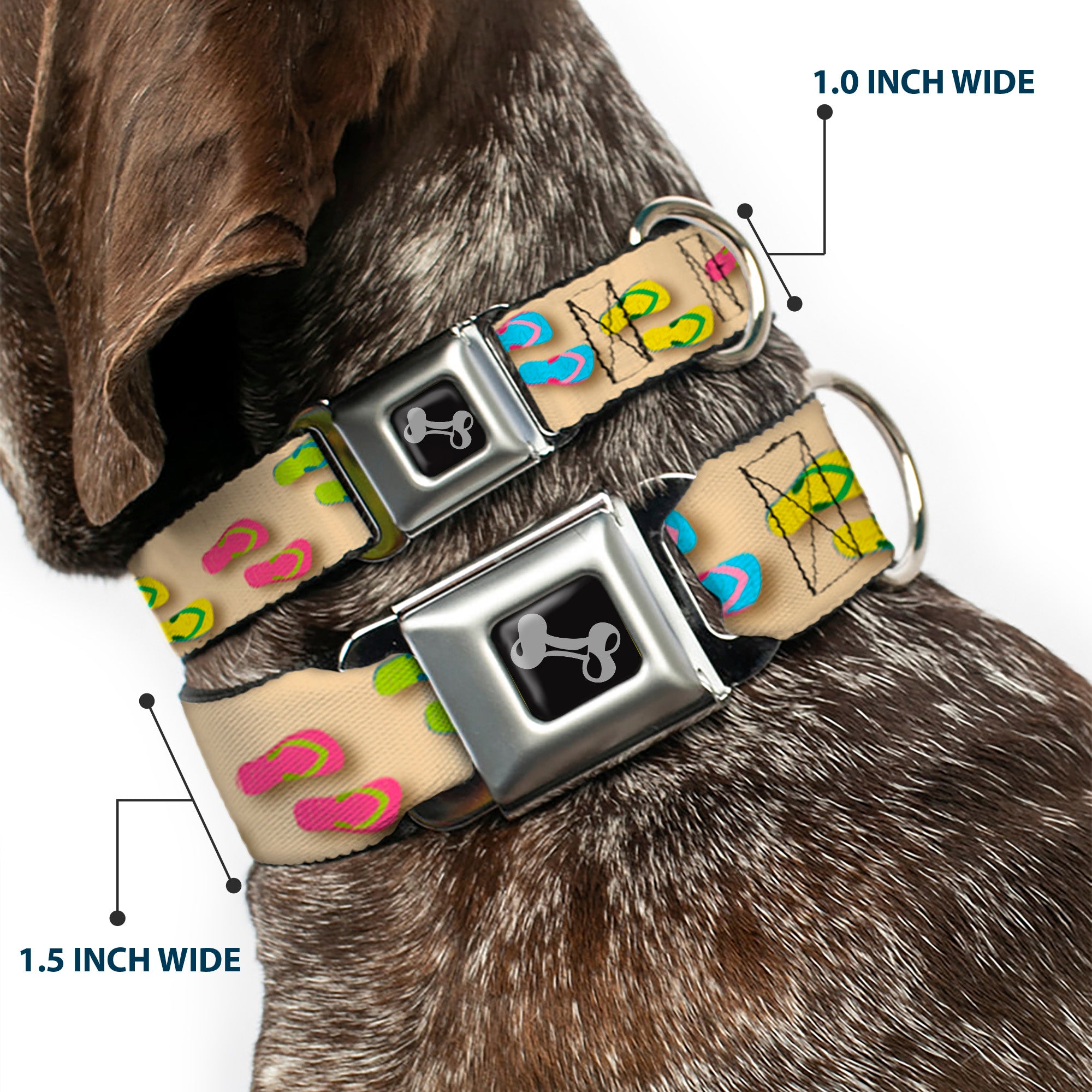 Dog Bone Seatbelt Buckle Collar - Flip Flops3 Sand/Multi Color Seatbelt Buckle Collars Buckle-Down