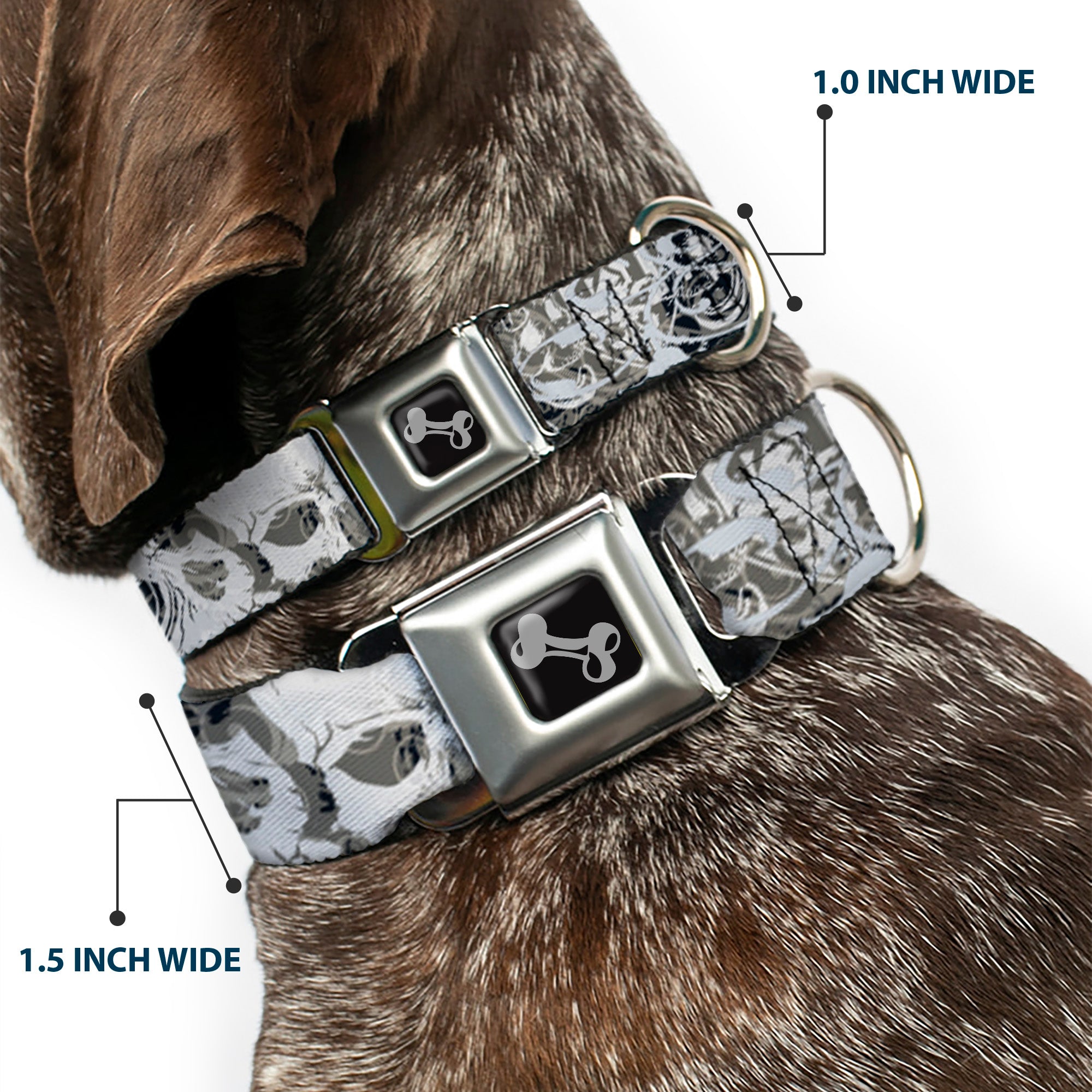 Dog Bone Seatbelt Buckle Collar - Gothic 1 Seatbelt Buckle Collars Buckle-Down