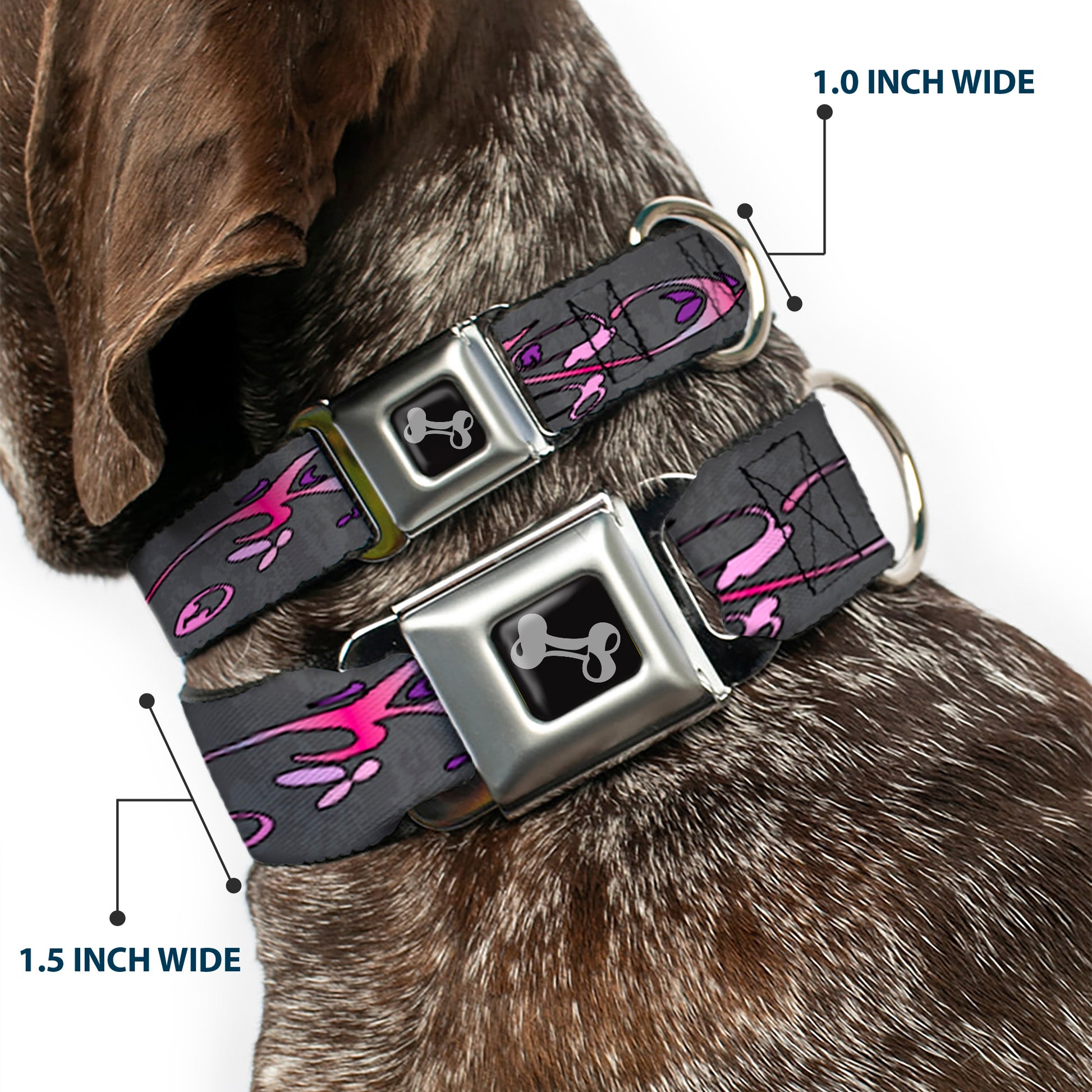 Dog Bone Seatbelt Buckle Collar - Girlie Skull Gray Seatbelt Buckle Collars Buckle-Down