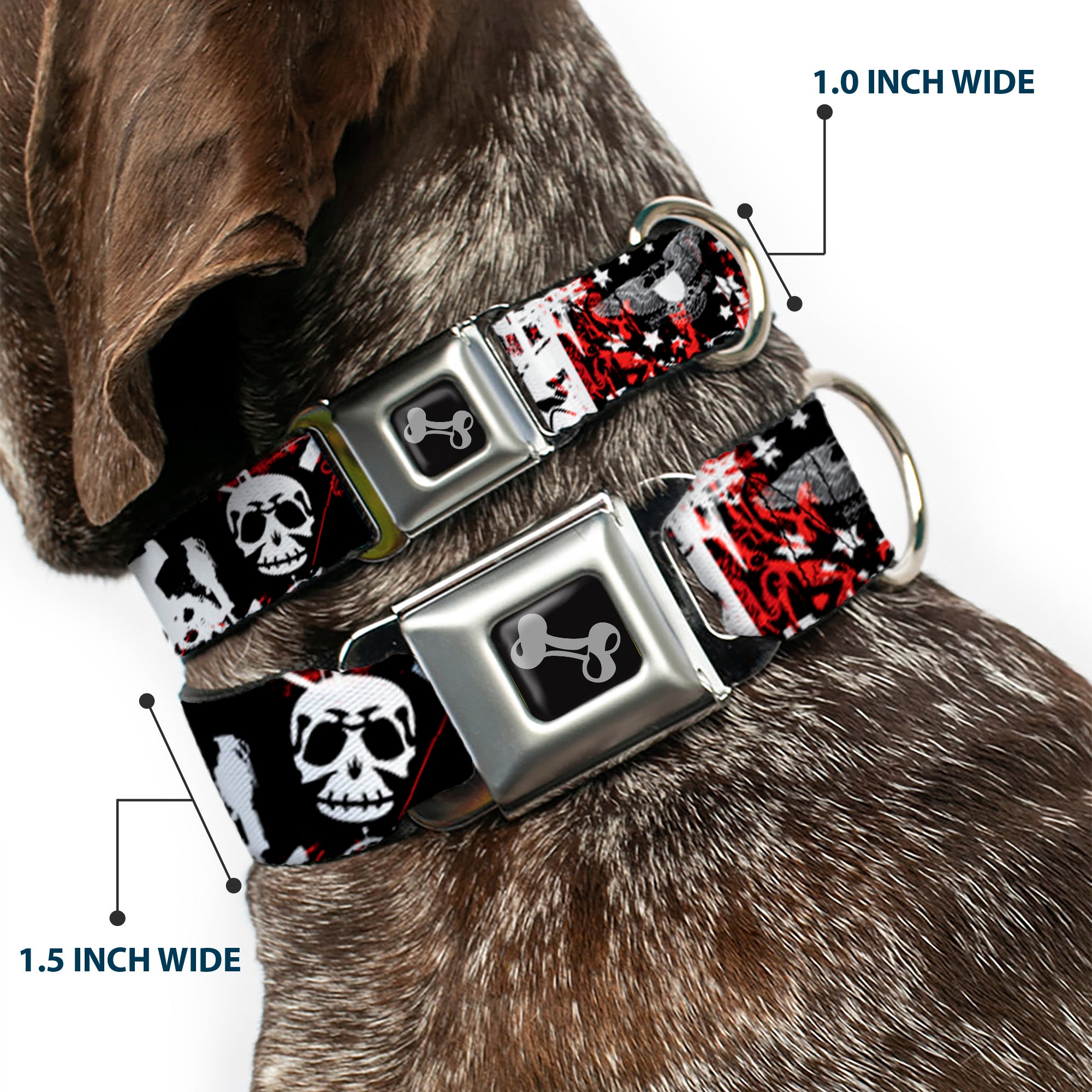 Buckle-Down Seatbelt Buckle Dog Collar - Graffiti Men's Seatbelt Buckle Collars Buckle-Down
