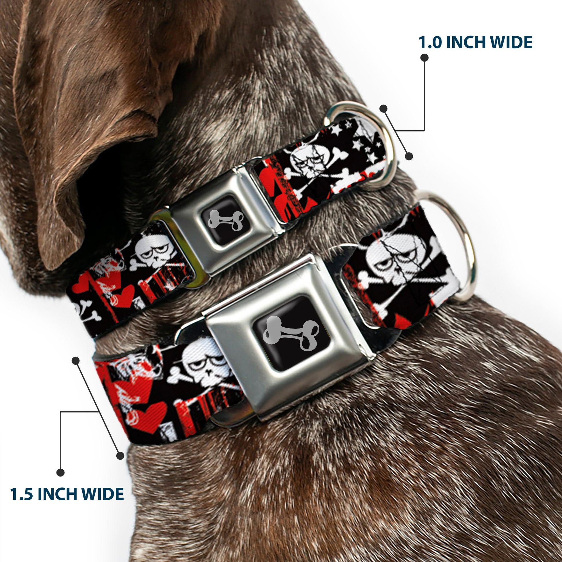 Buckle-Down Seatbelt Buckle Dog Collar - Graffiti Women's Seatbelt Buckle Collars Buckle-Down
