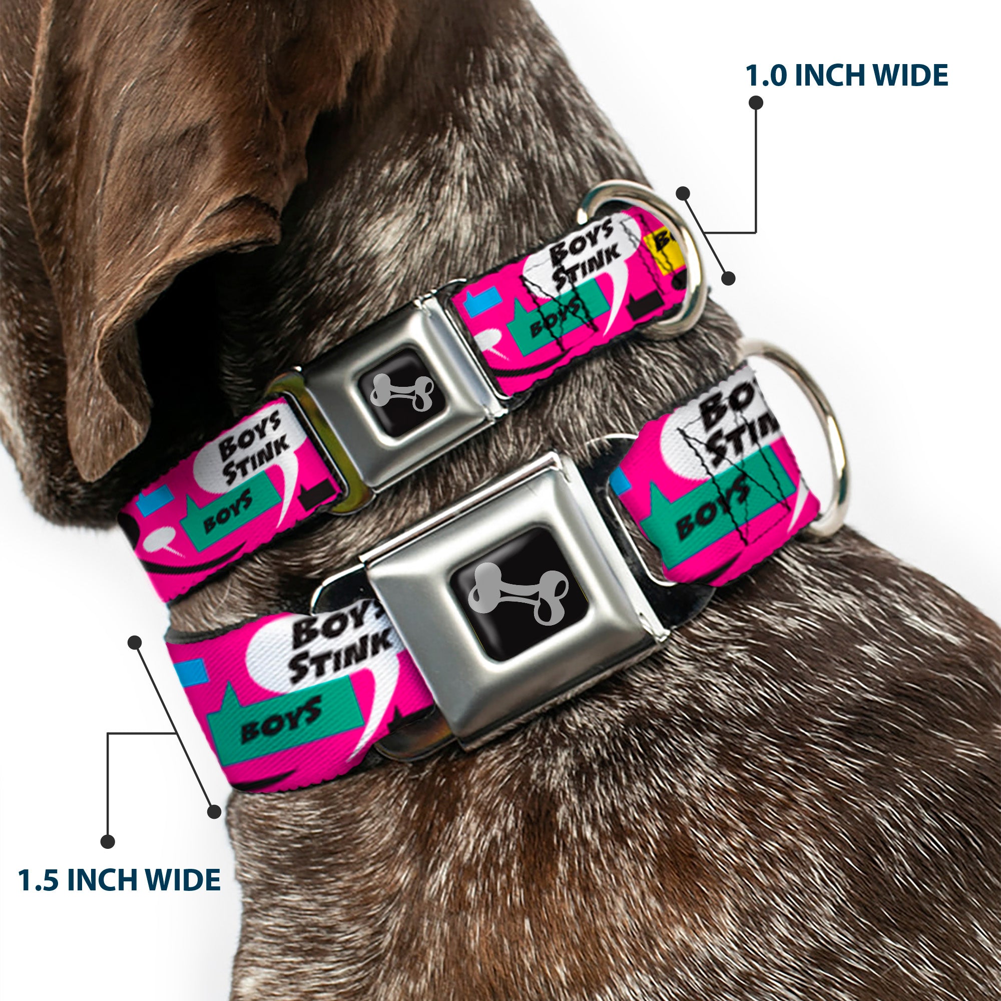 Dog Bone Seatbelt Buckle Collar - Girls Rule Bubbles Seatbelt Buckle Collars Buckle-Down