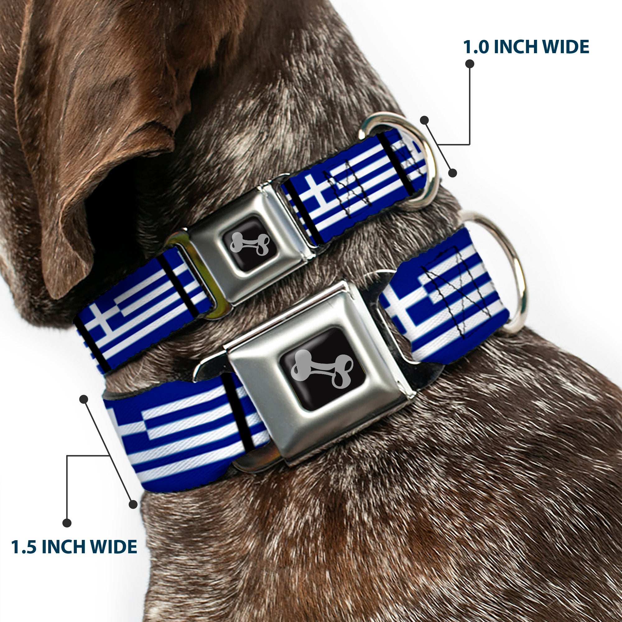 Dog Bone Seatbelt Buckle Collar - Greece Flags Seatbelt Buckle Collars Buckle-Down