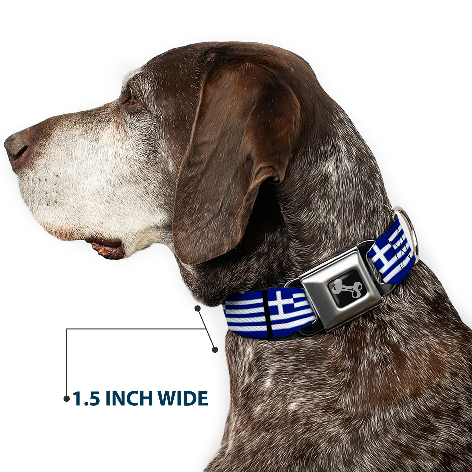 Dog Bone Seatbelt Buckle Collar - Greece Flags Seatbelt Buckle Collars Buckle-Down