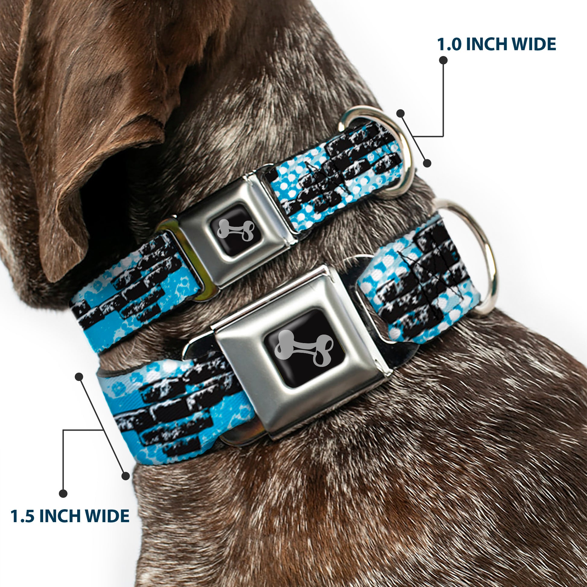 Dog Bone Seatbelt Buckle Collar - Grunge Bricks Blue Seatbelt Buckle Collars Buckle-Down