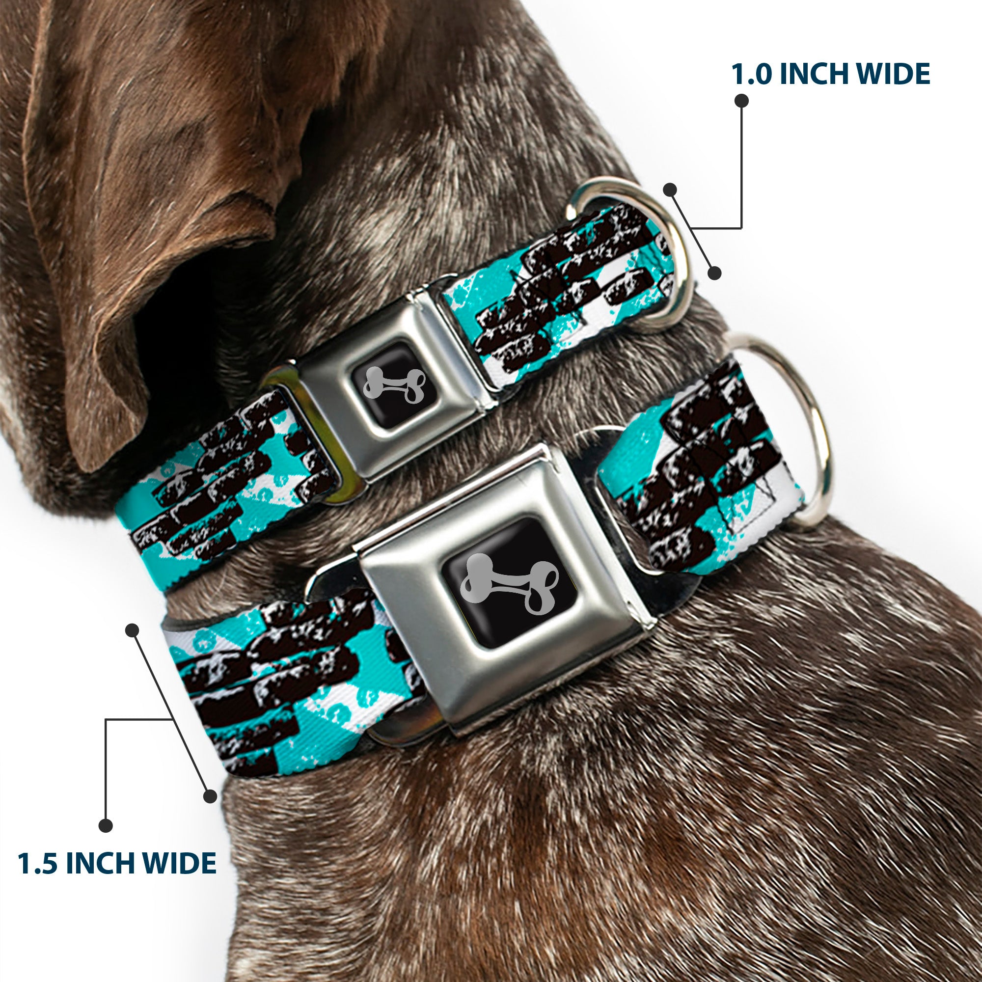 Dog Bone Seatbelt Buckle Collar - Grunge Bricks Green Seatbelt Buckle Collars Buckle-Down