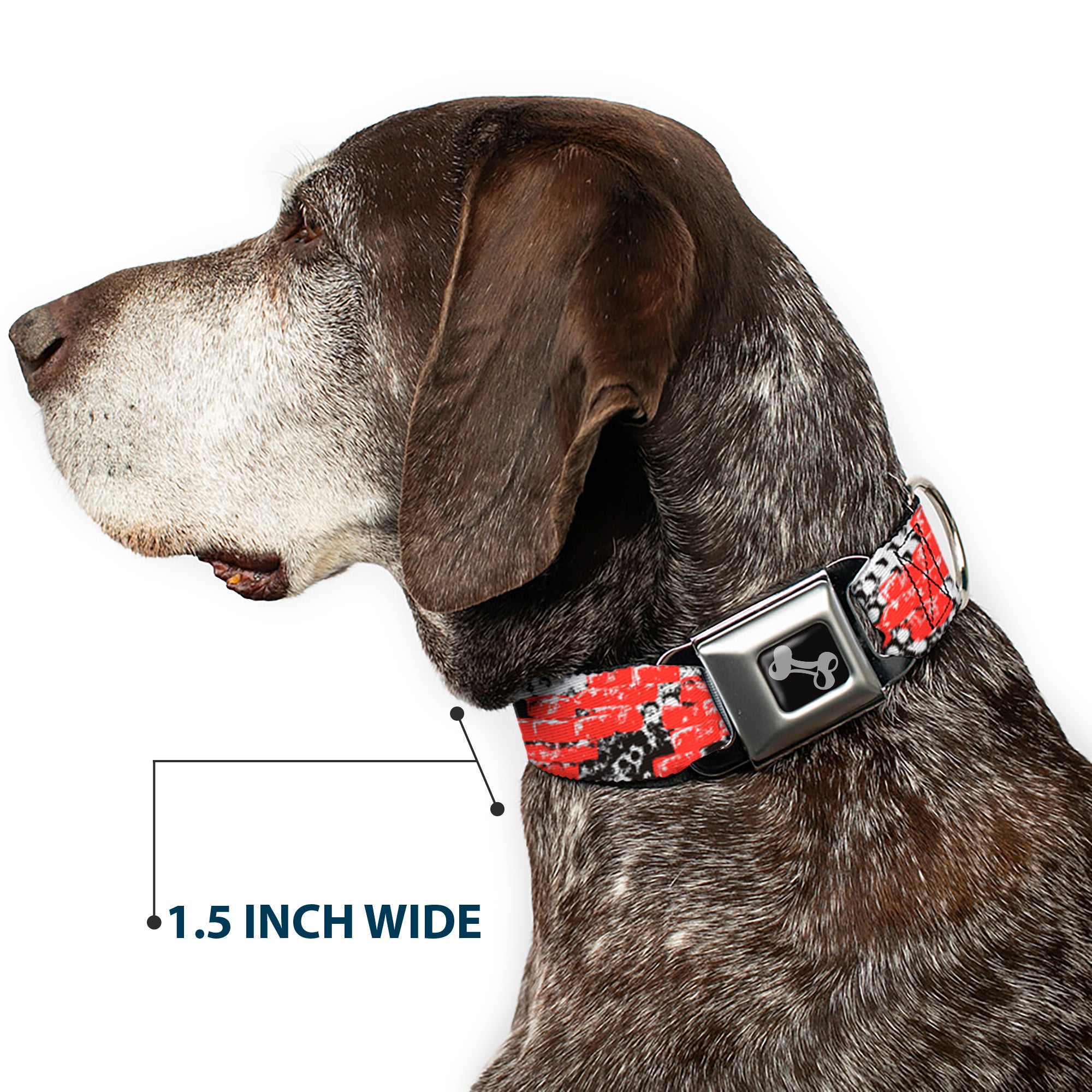 Dog Bone Seatbelt Buckle Collar - Grunge Bricks Orange Seatbelt Buckle Collars Buckle-Down
