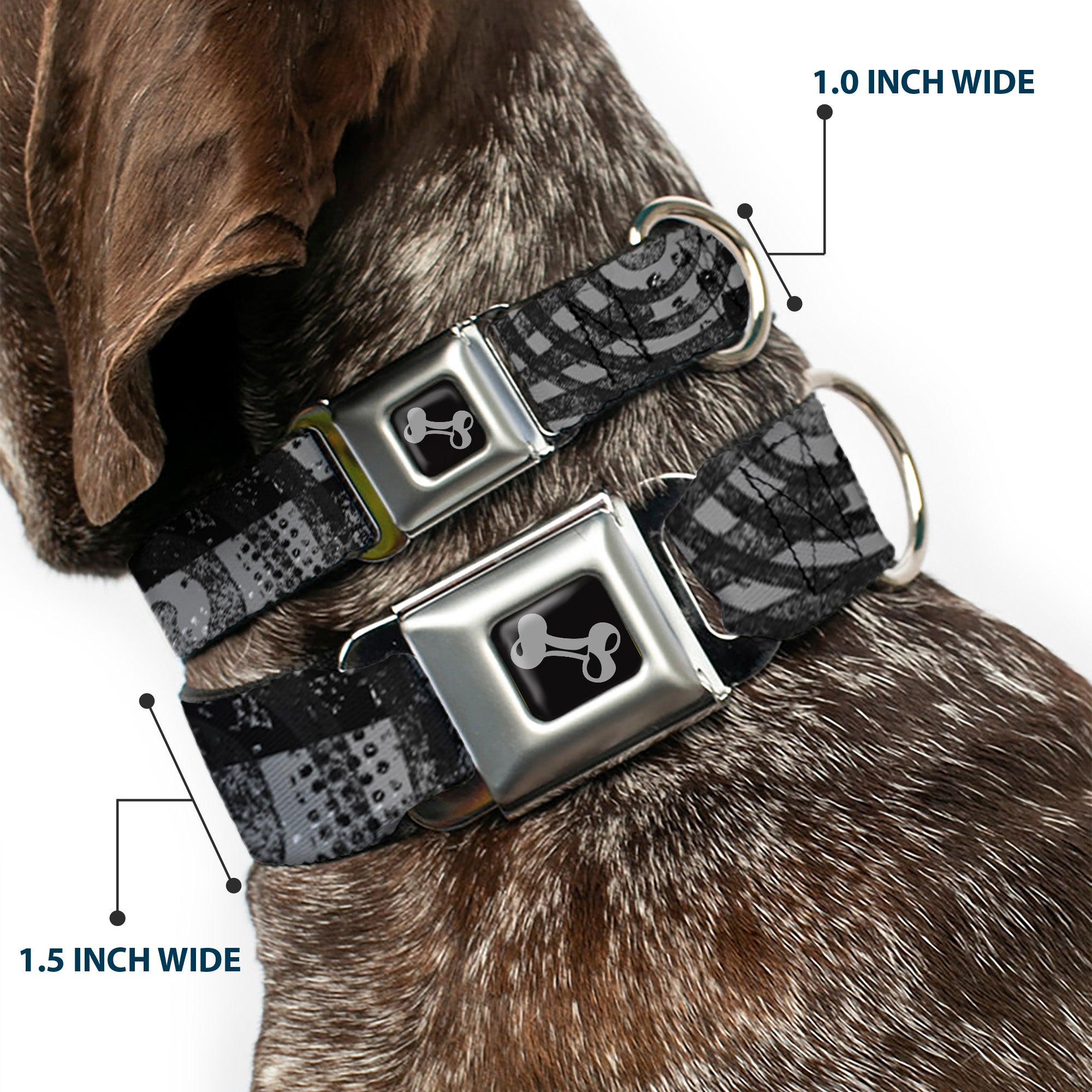 Dog Bone Seatbelt Buckle Collar - Grunge Chaos Black/White Seatbelt Buckle Collars Buckle-Down