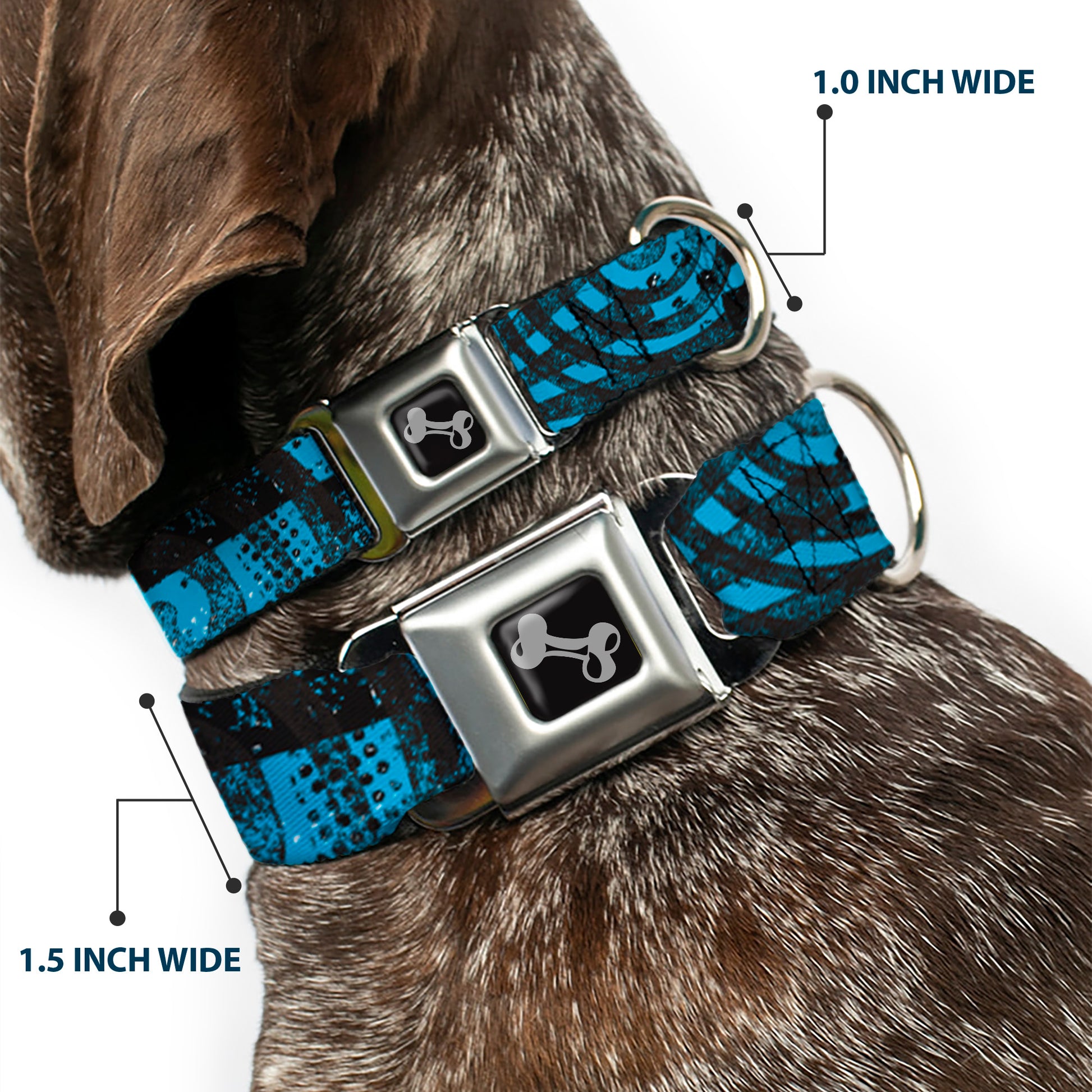 Dog Bone Seatbelt Buckle Collar - Grunge Chaos Blue Seatbelt Buckle Collars Buckle-Down