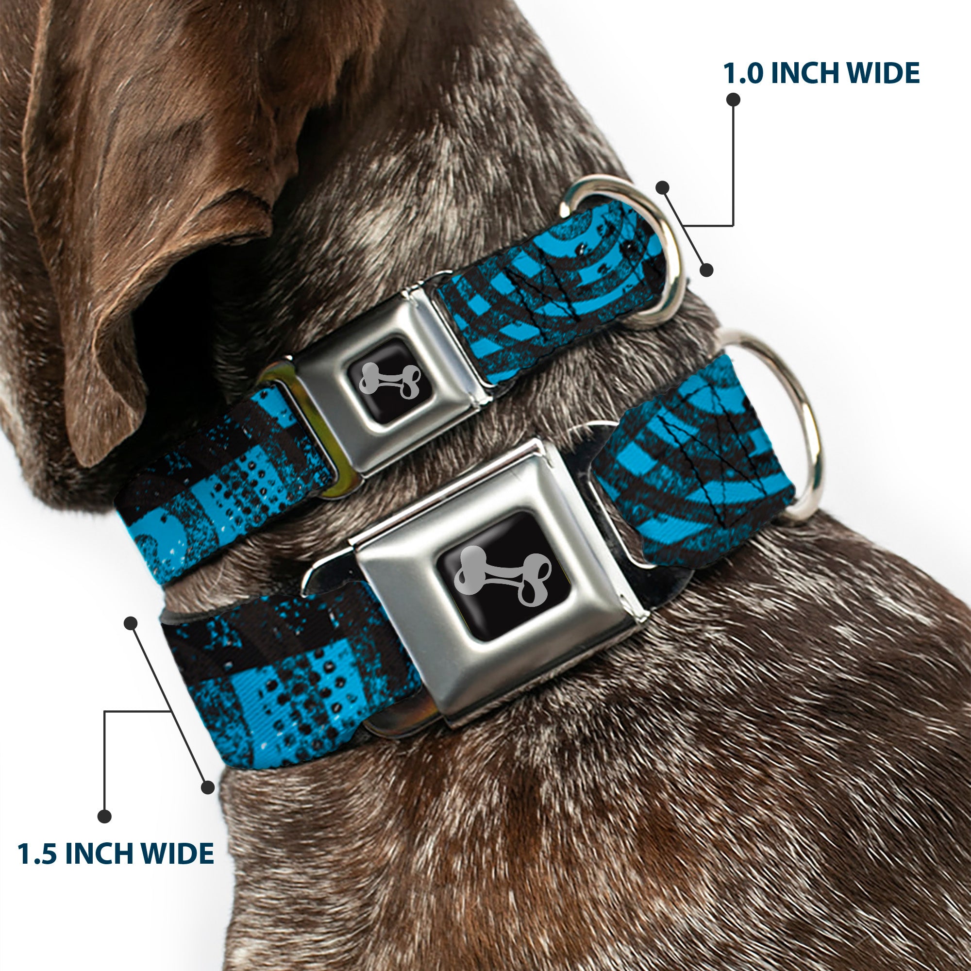 Dog Bone Seatbelt Buckle Collar - Grunge Chaos Blue Seatbelt Buckle Collars Buckle-Down