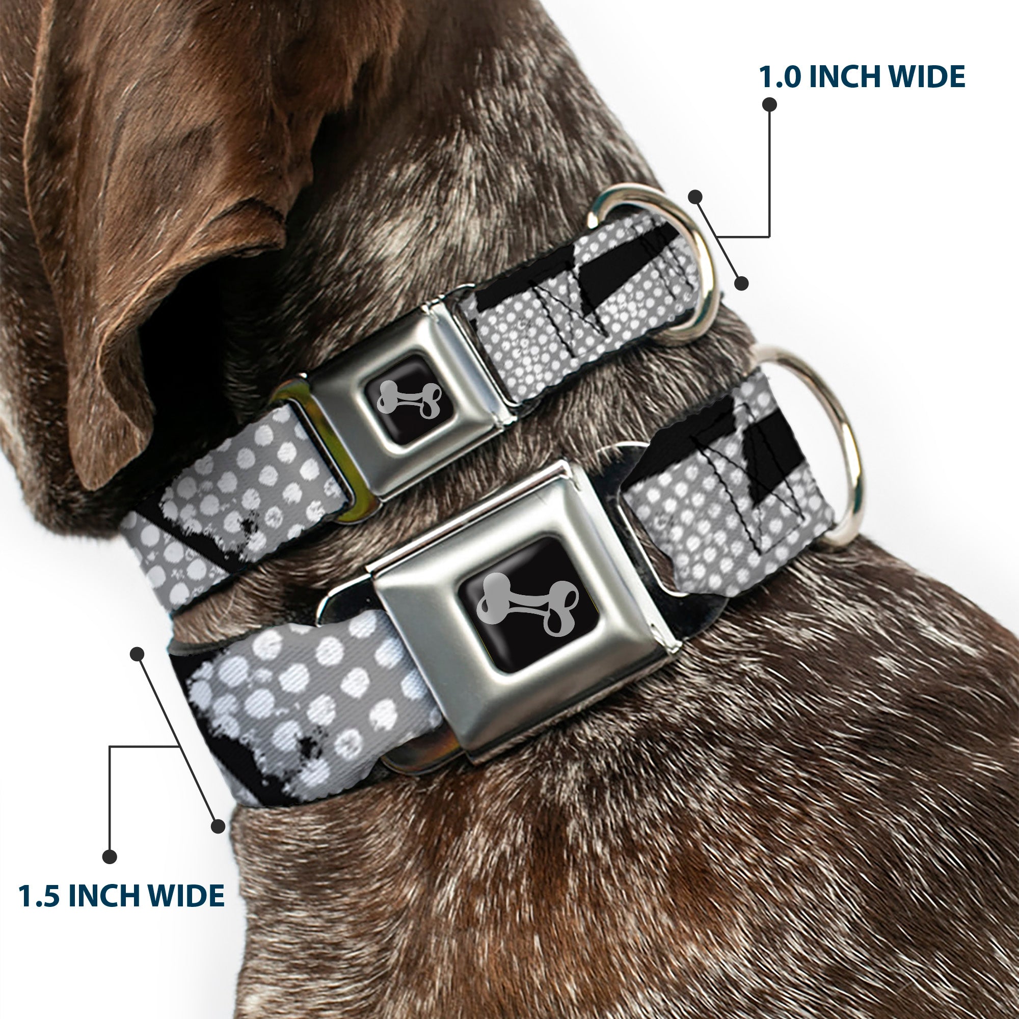 Dog Bone Seatbelt Buckle Collar - Grunge Checker Flag Black/White Seatbelt Buckle Collars Buckle-Down