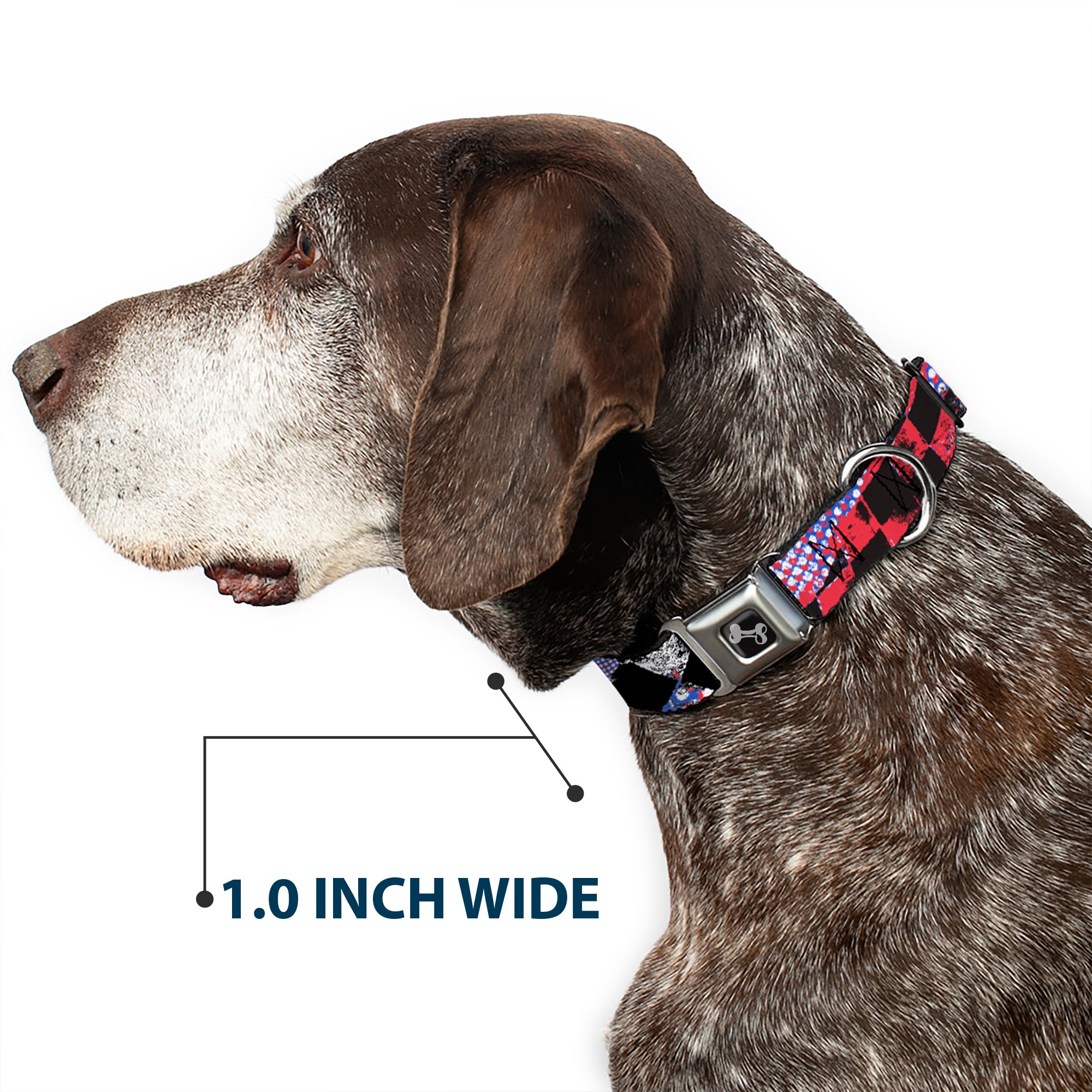 Dog Bone Seatbelt Buckle Collar - Grunge Checker Flag Blue/Red Seatbelt Buckle Collars Buckle-Down