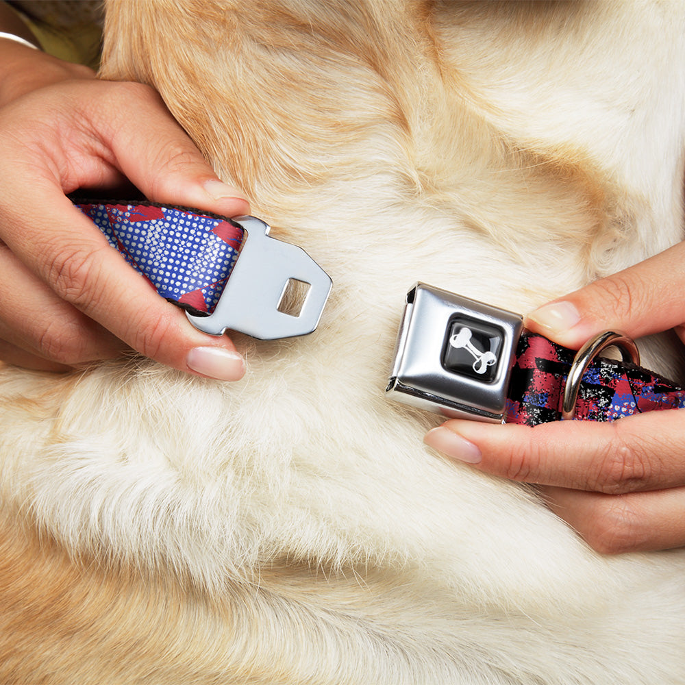 Dog Bone Seatbelt Buckle Collar - Grunge Checker Flag Blue/Red Seatbelt Buckle Collars Buckle-Down
