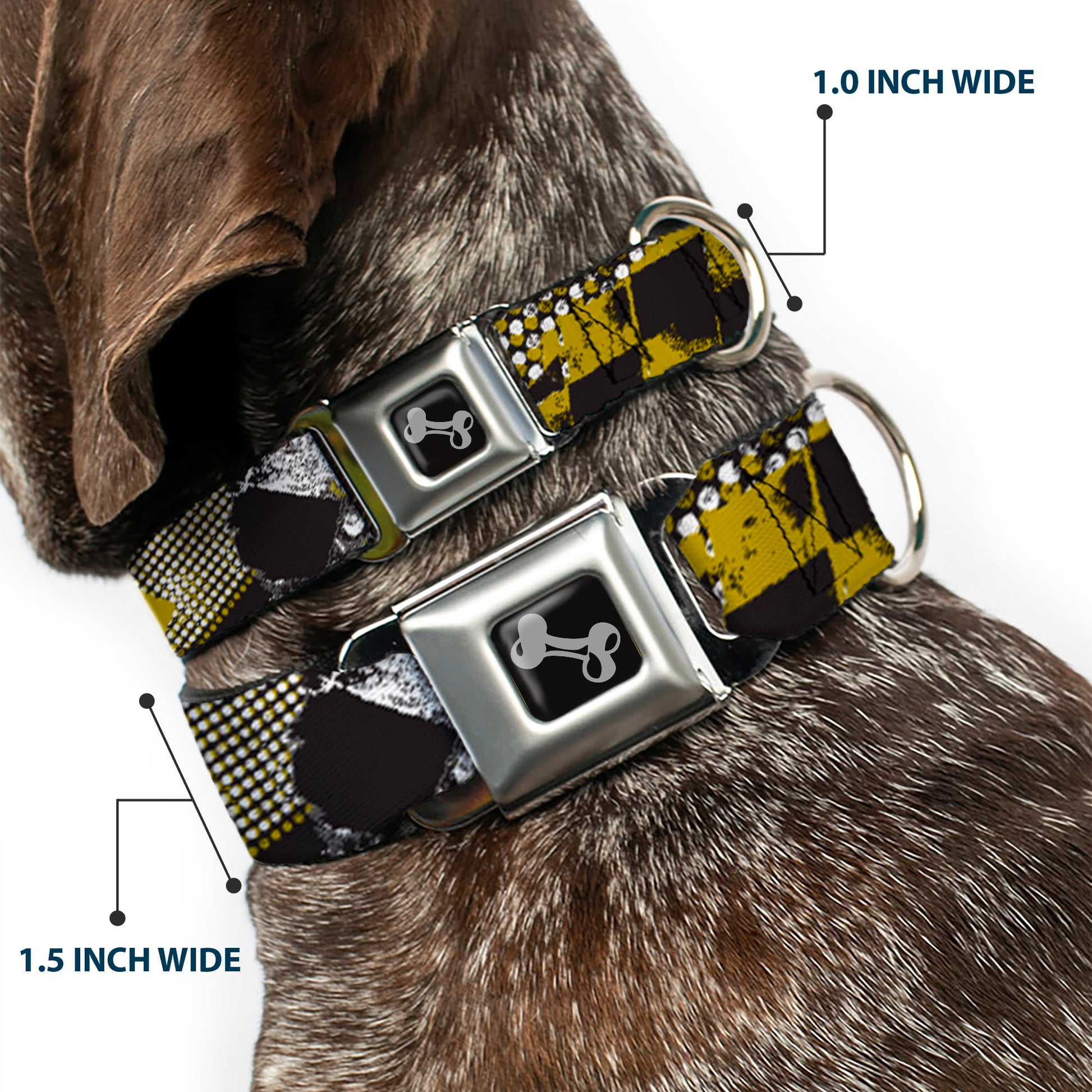 Dog Bone Seatbelt Buckle Collar - Grunge Checker Flag Green Seatbelt Buckle Collars Buckle-Down