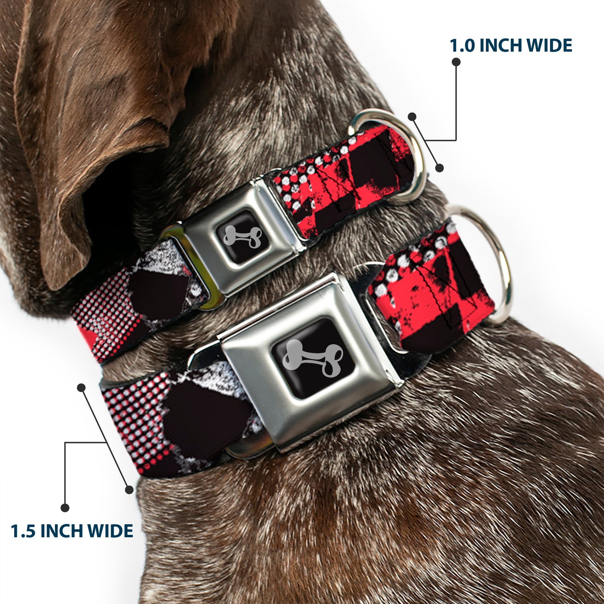 Dog Bone Seatbelt Buckle Collar - Grunge Checker Flag Red Seatbelt Buckle Collars Buckle-Down
