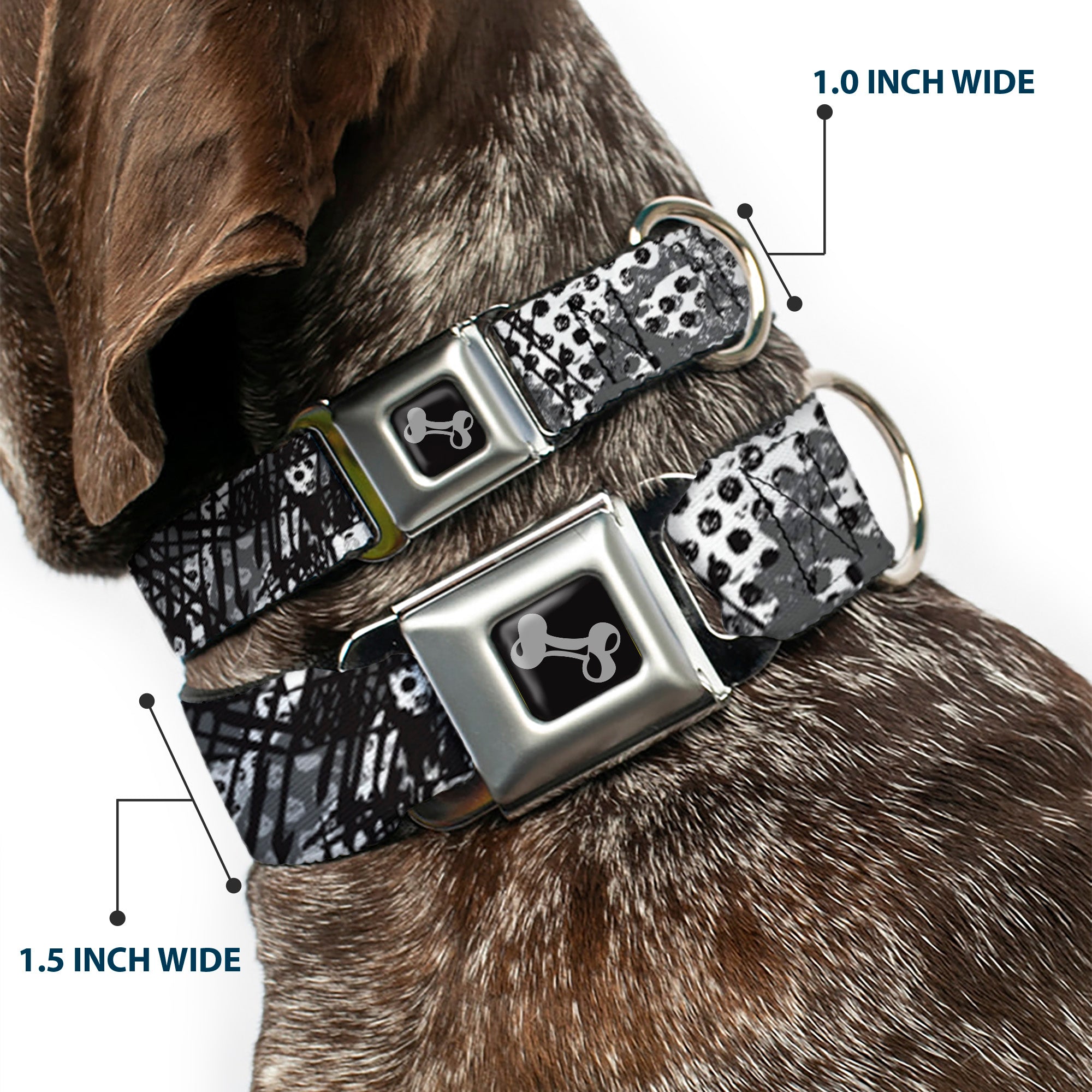 Dog Bone Seatbelt Buckle Collar - Grunge Gears Black/White Seatbelt Buckle Collars Buckle-Down