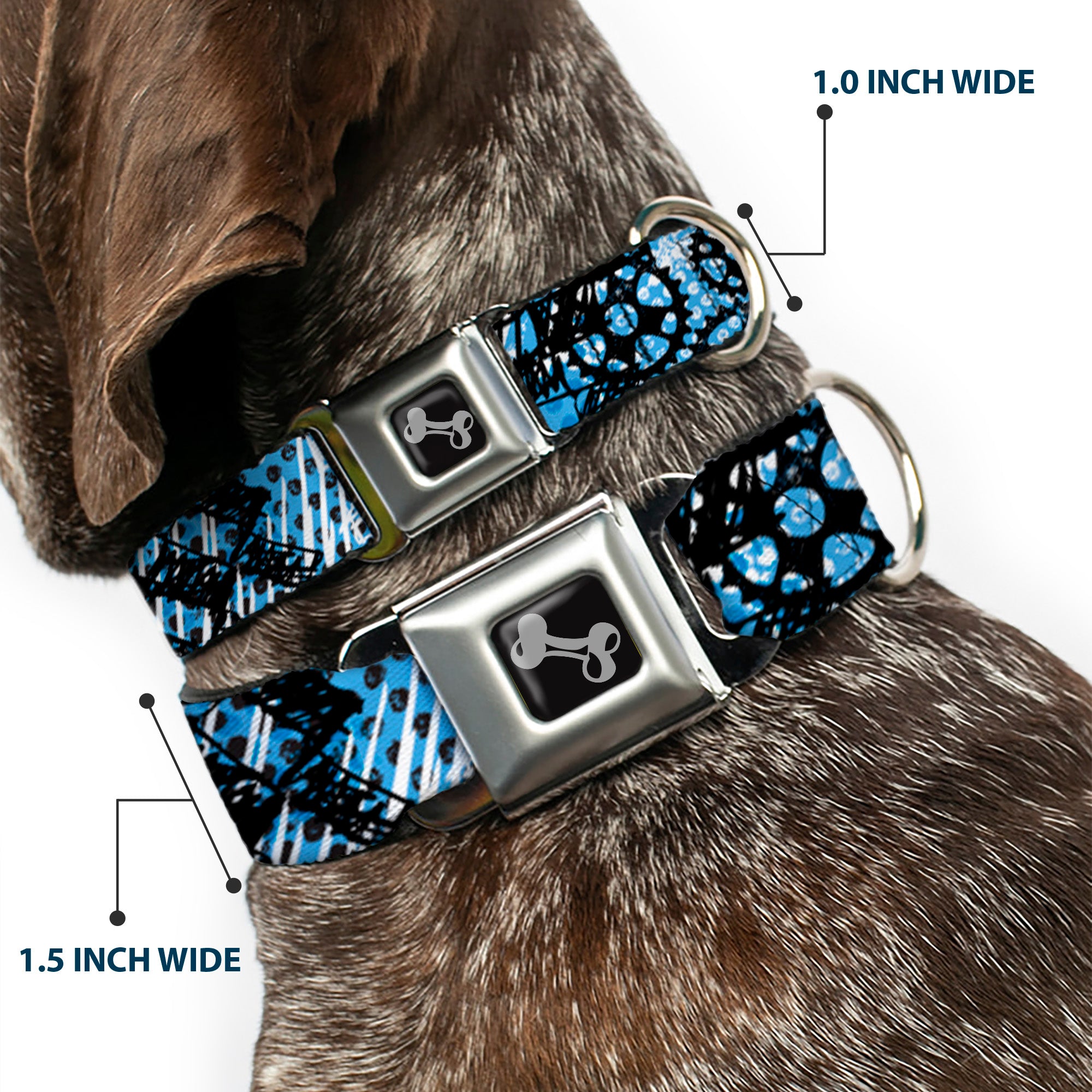 Dog Bone Seatbelt Buckle Collar - Grunge Gears Blue Seatbelt Buckle Collars Buckle-Down