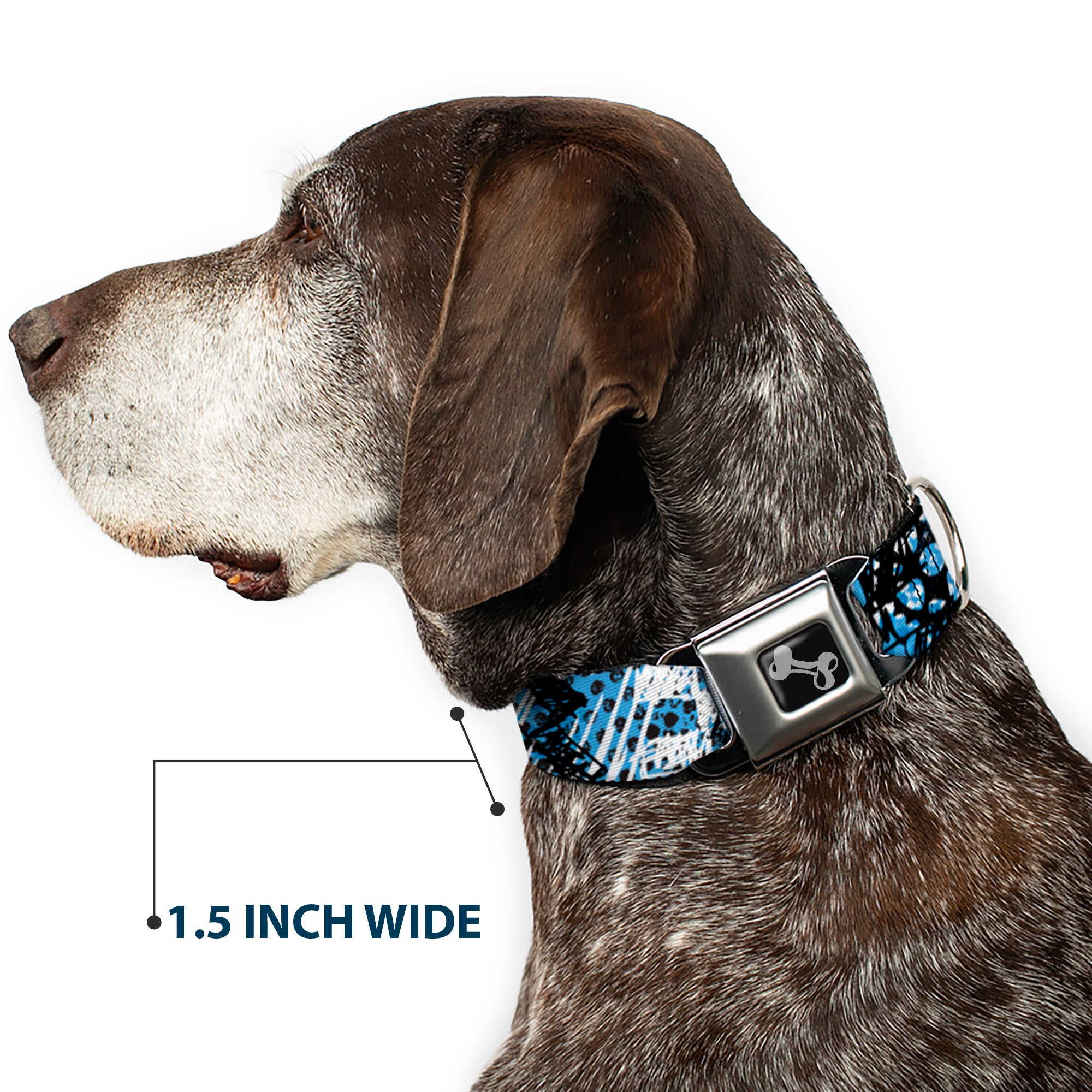 Dog Bone Seatbelt Buckle Collar - Grunge Gears Blue Seatbelt Buckle Collars Buckle-Down