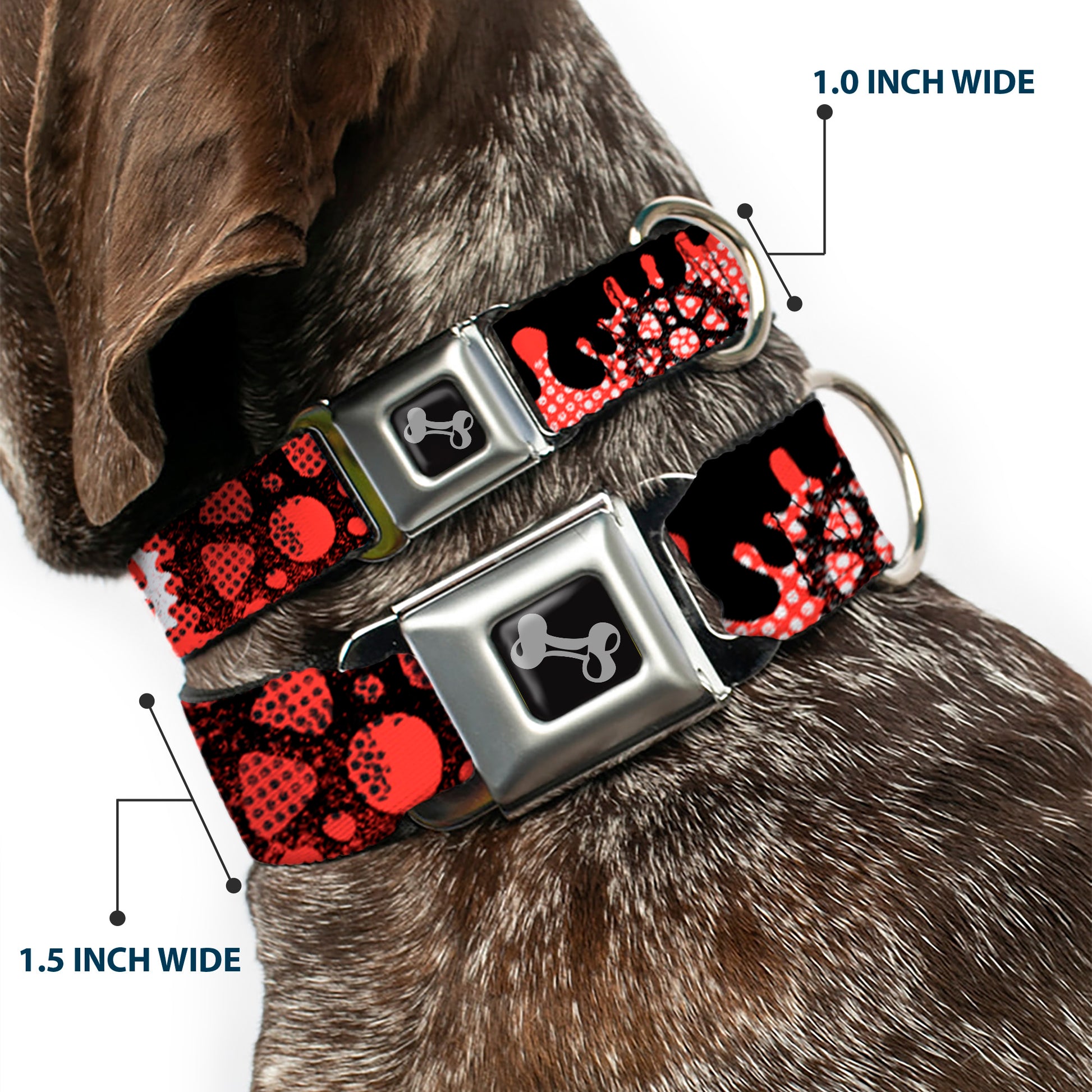 Dog Bone Seatbelt Buckle Collar - Grunge Gears Orange Seatbelt Buckle Collars Buckle-Down