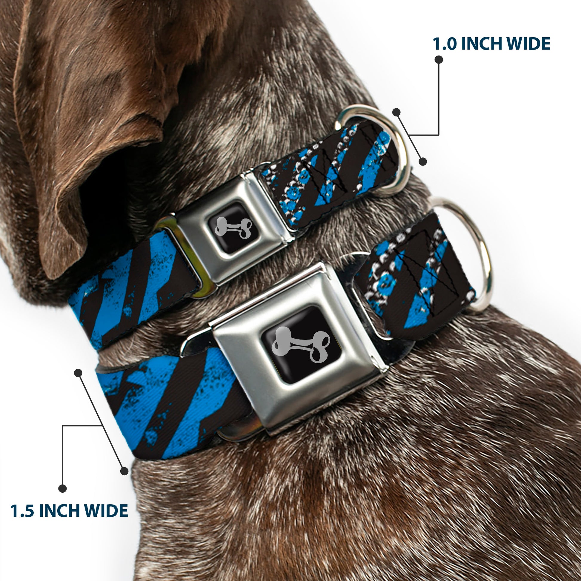 Dog Bone Seatbelt Buckle Collar - Grunge Tread Blue Seatbelt Buckle Collars Buckle-Down