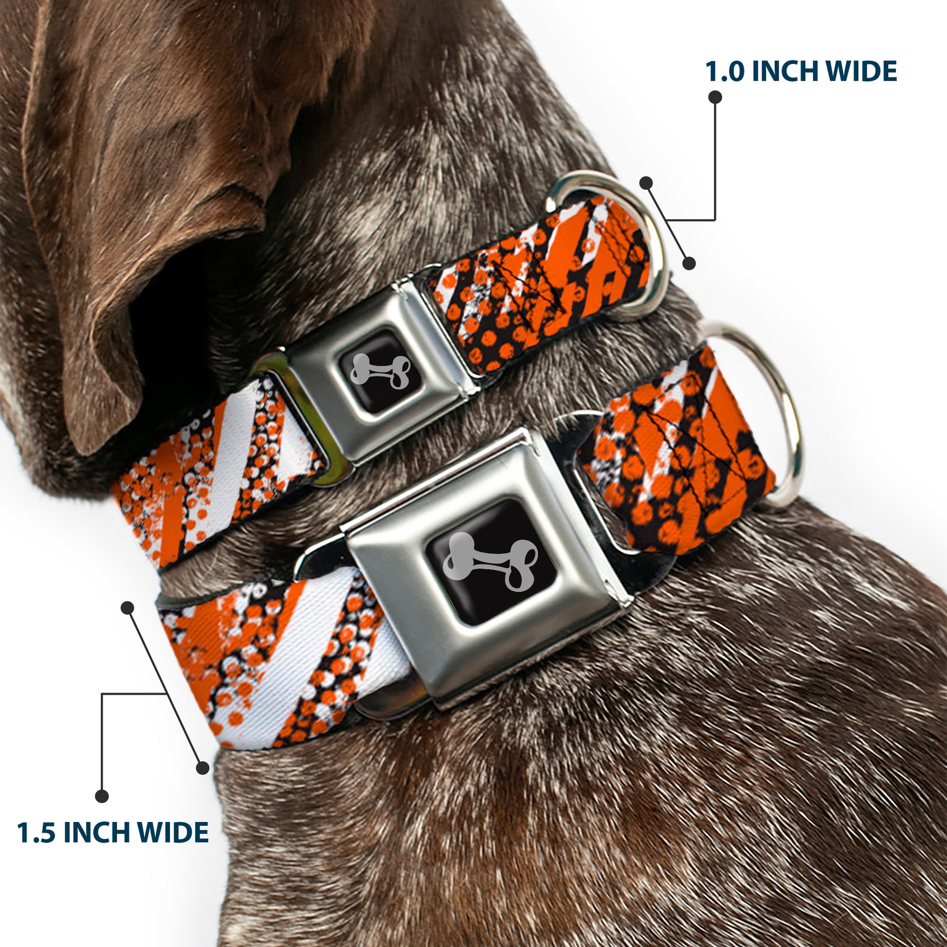Dog Bone Seatbelt Buckle Collar - Grunge Tread Orange Seatbelt Buckle Collars Buckle-Down