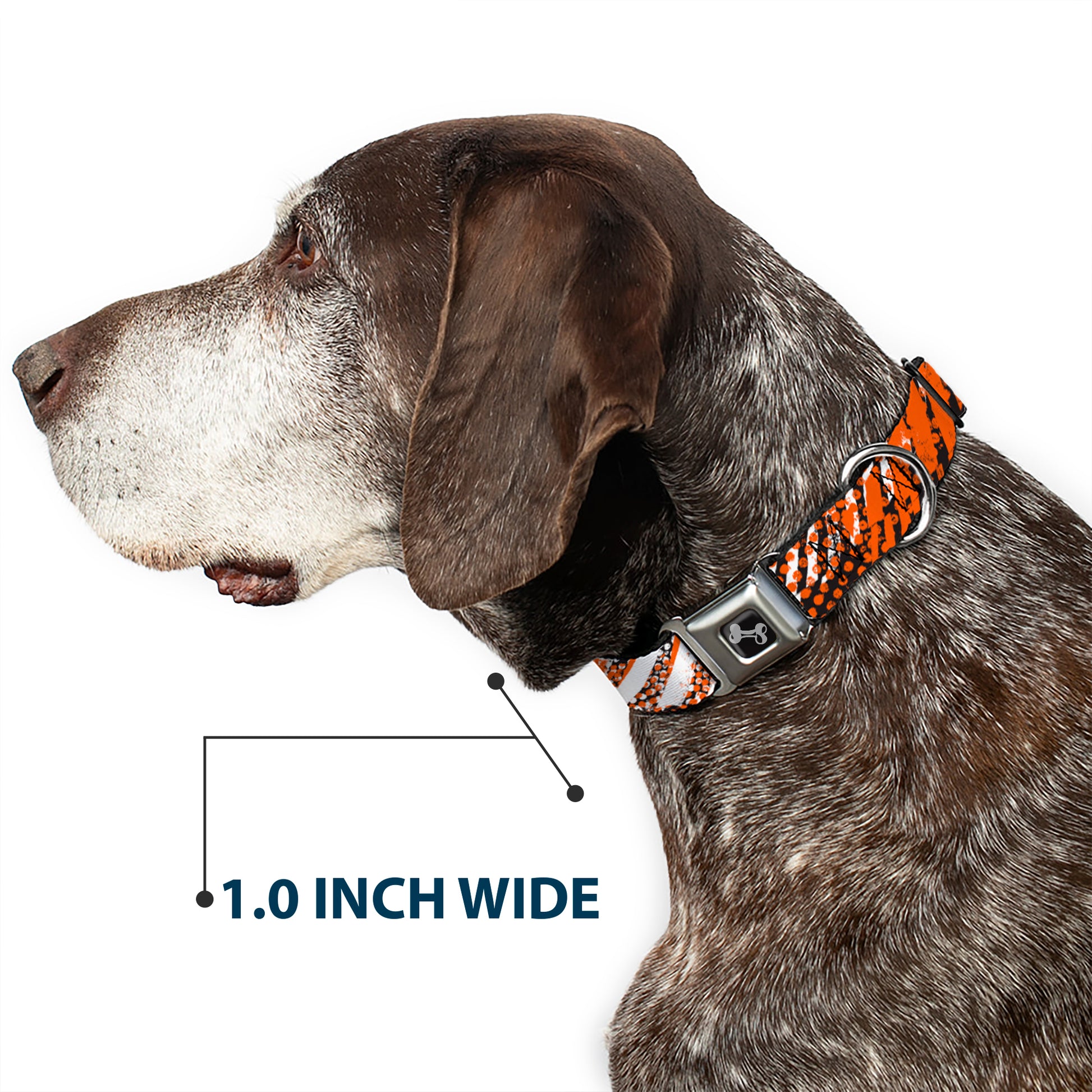Dog Bone Seatbelt Buckle Collar - Grunge Tread Orange Seatbelt Buckle Collars Buckle-Down