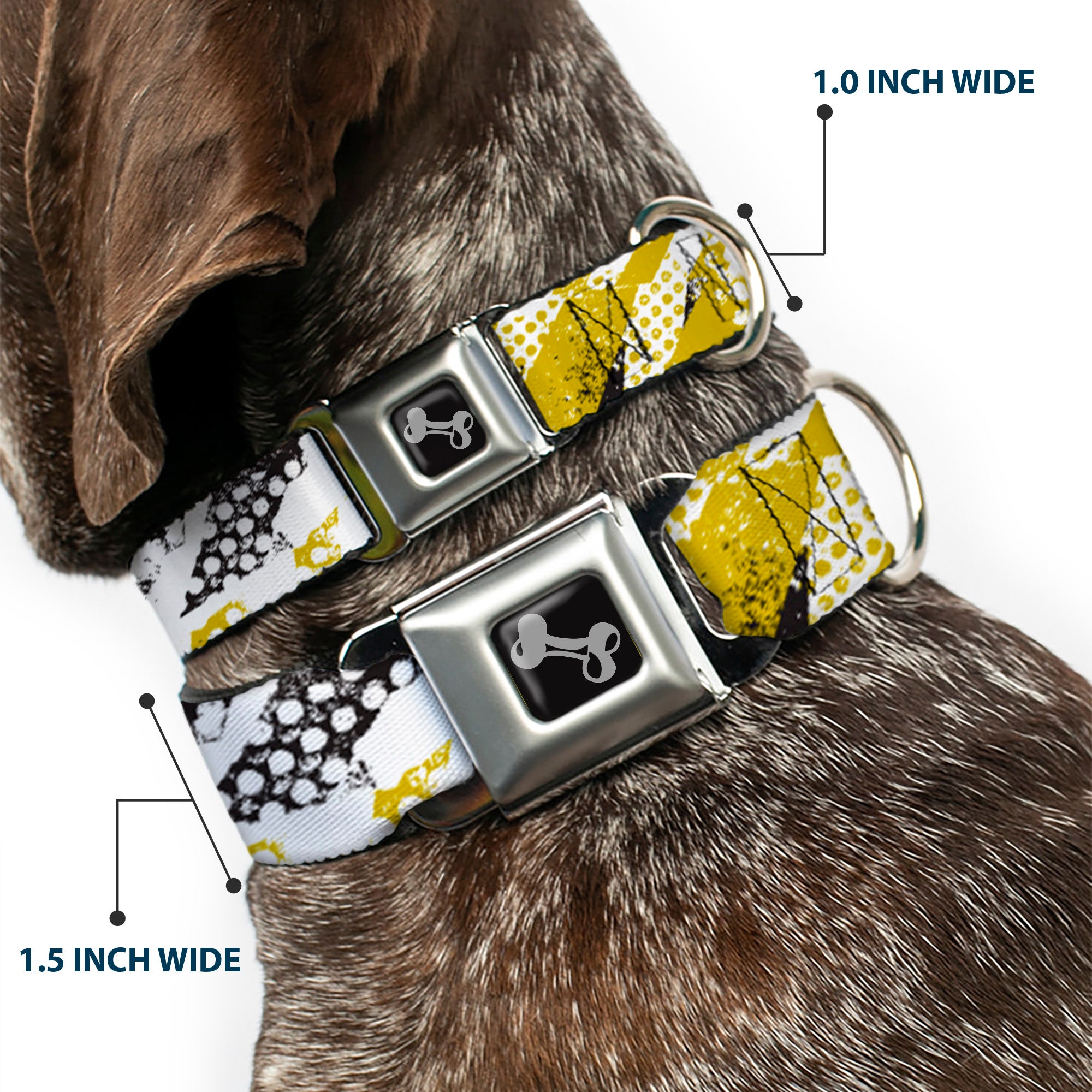 Dog Bone Seatbelt Buckle Collar - Grunge Tread Yellow Seatbelt Buckle Collars Buckle-Down