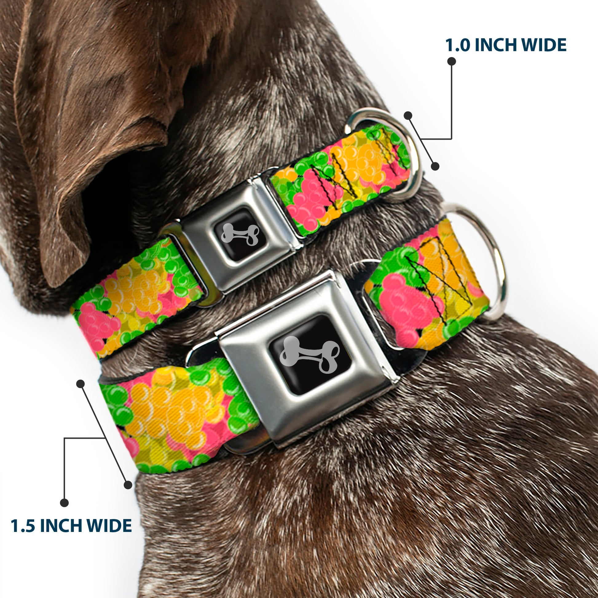 Dog Bone Seatbelt Buckle Collar - Gummy Bears Stacked Multi Color Seatbelt Buckle Collars Buckle-Down