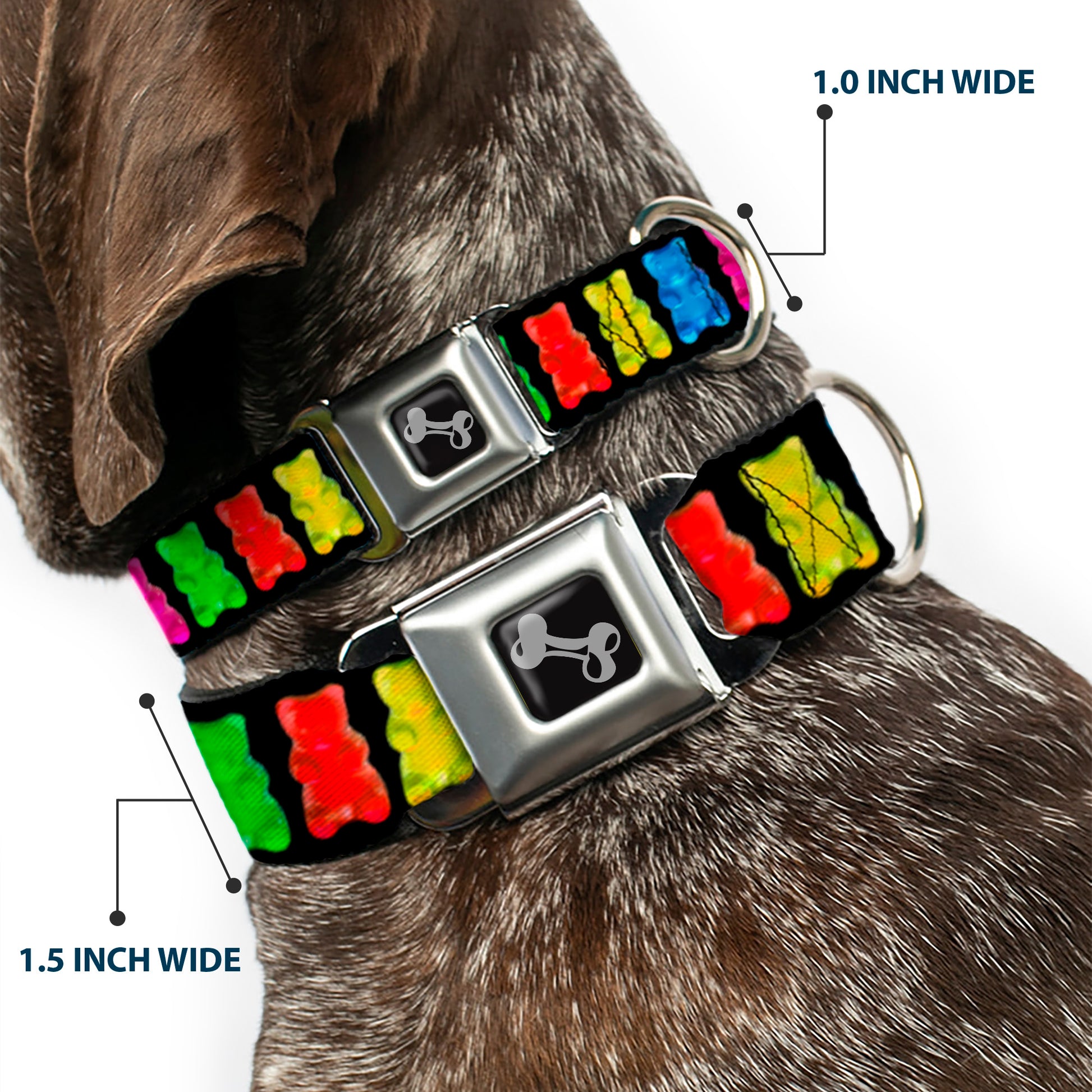 Dog Bone Seatbelt Buckle Collar - Gummy Bears Black/Multi Color Seatbelt Buckle Collars Buckle-Down