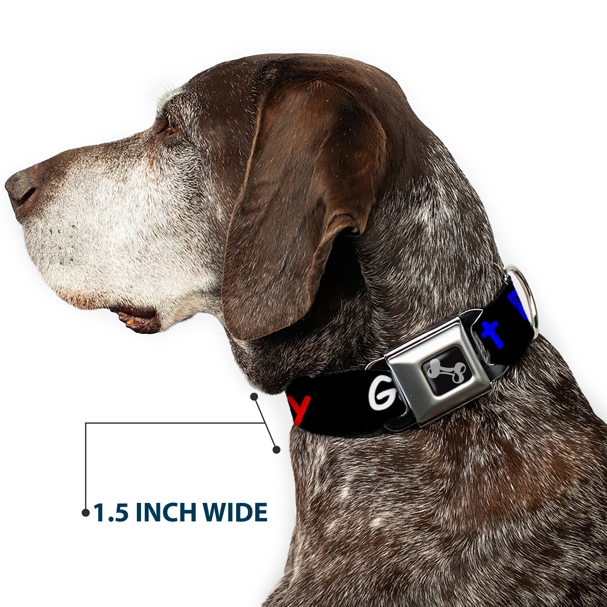 Dog Bone Seatbelt Buckle Collar - GET DIRTY Black/White/Blue/Green/Red Seatbelt Buckle Collars Buckle-Down