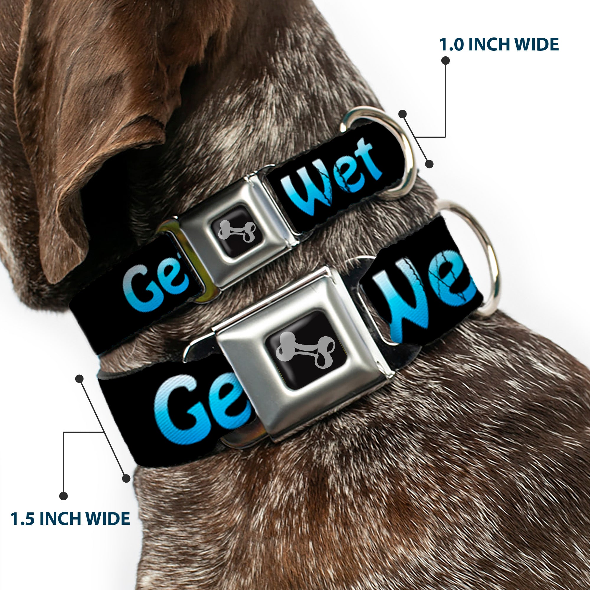 Buckle-Down Seatbelt Buckle Dog Collar - GET WET Black/Baby Blue Seatbelt Buckle Collars Buckle-Down
