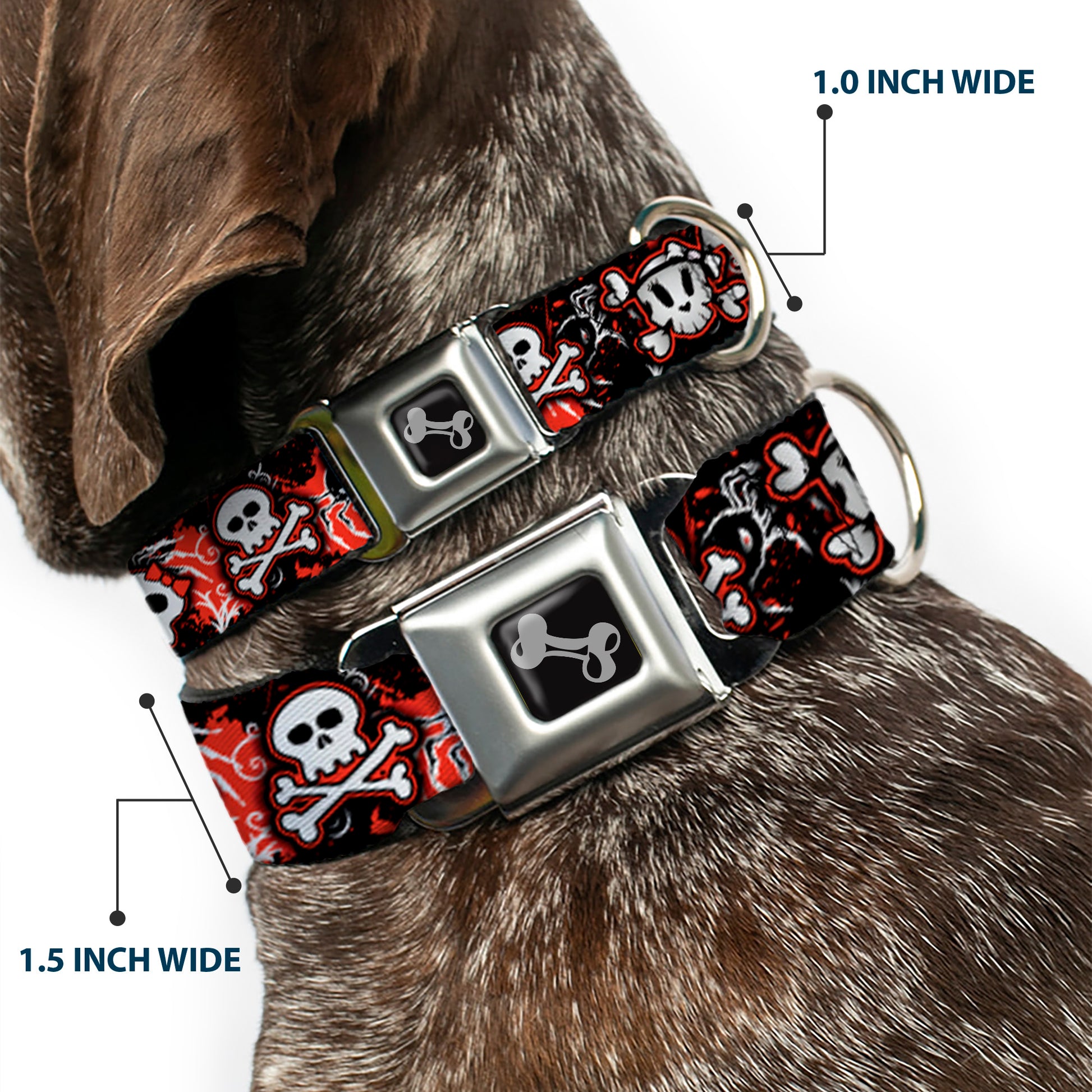 Dog Bone Seatbelt Buckle Collar - Girlie Skull Black/Red Seatbelt Buckle Collars Buckle-Down