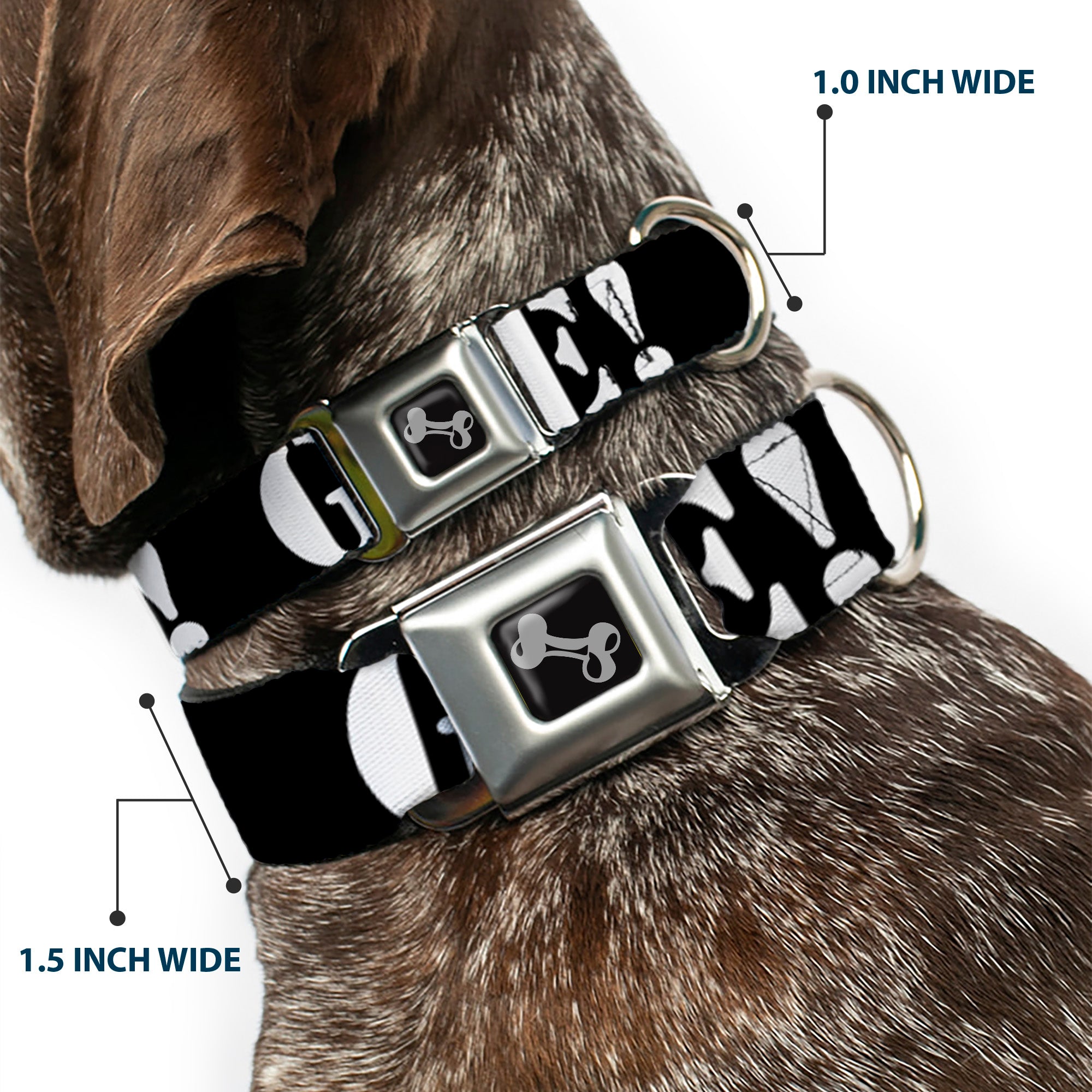 Dog Bone Seatbelt Buckle Collar - GET A LIFE! Black/White Seatbelt Buckle Collars Buckle-Down