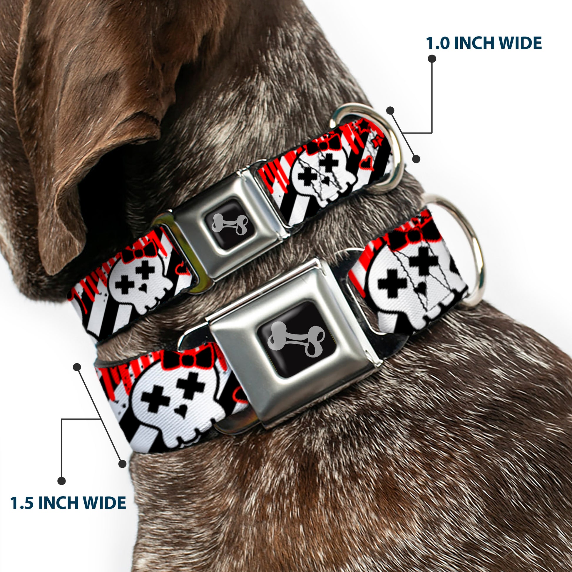 Dog Bone Seatbelt Buckle Collar - Girlie Skull Black/White w/Red Paint Drips Seatbelt Buckle Collars Buckle-Down
