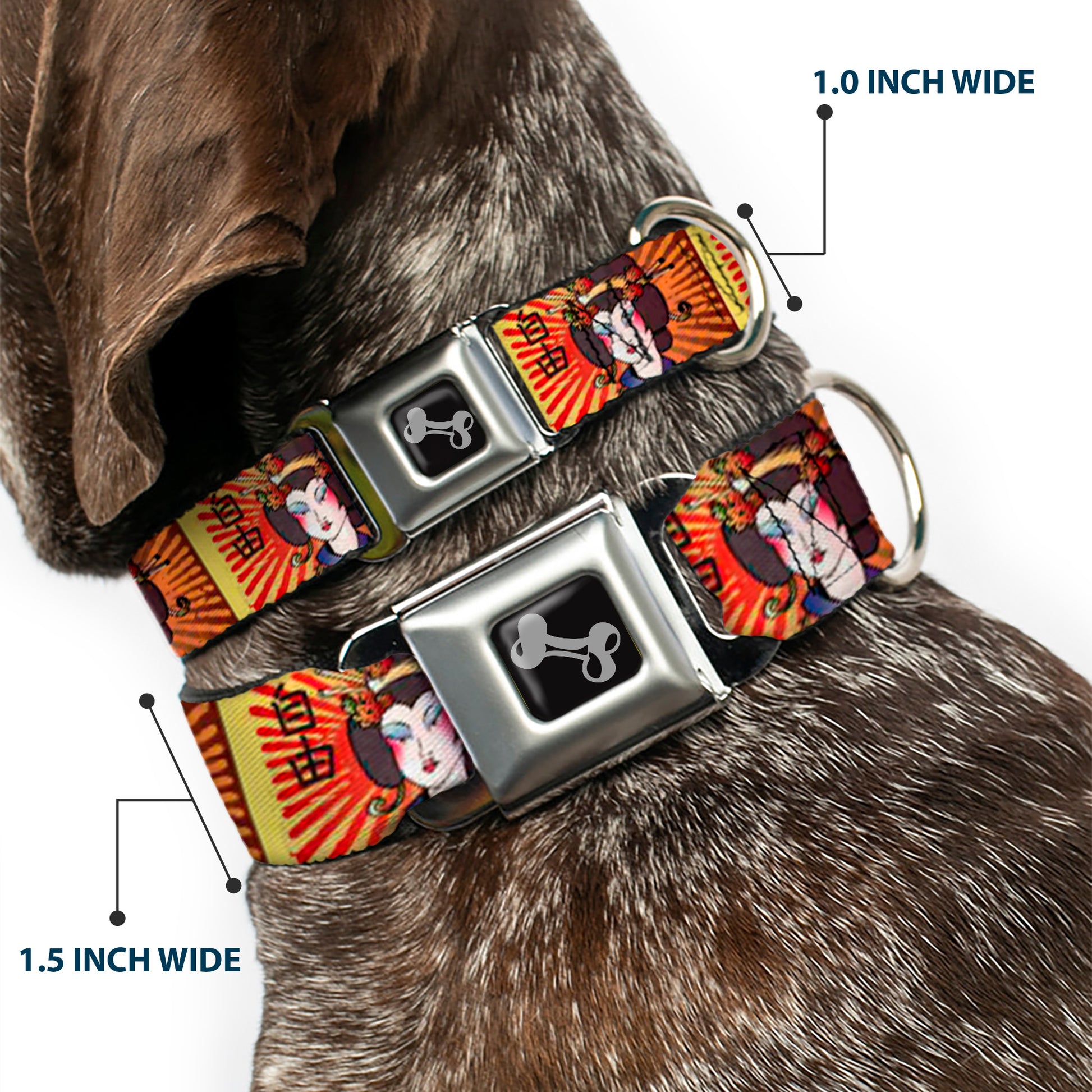 Dog Bone Seatbelt Buckle Collar - Geisha Distressed Repeat Seatbelt Buckle Collars Buckle-Down
