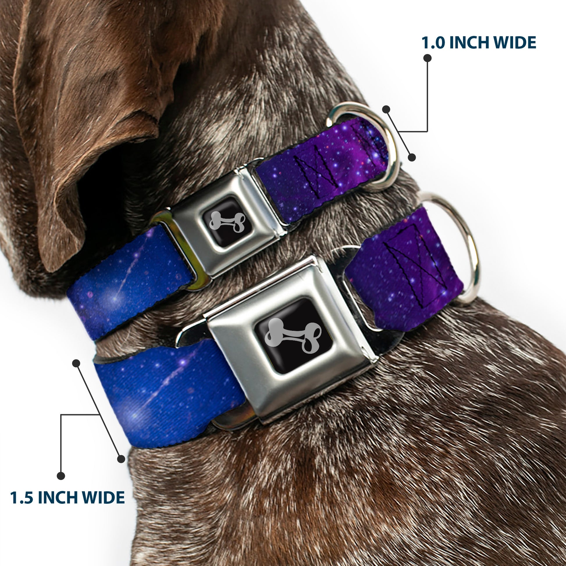 Dog Bone Seatbelt Buckle Collar - Galaxy Blues/Purples Seatbelt Buckle Collars Buckle-Down
