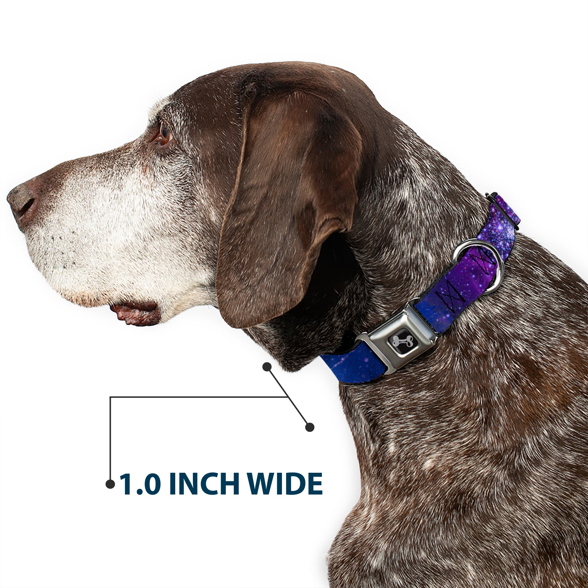 Dog Bone Seatbelt Buckle Collar - Galaxy Blues/Purples Seatbelt Buckle Collars Buckle-Down
