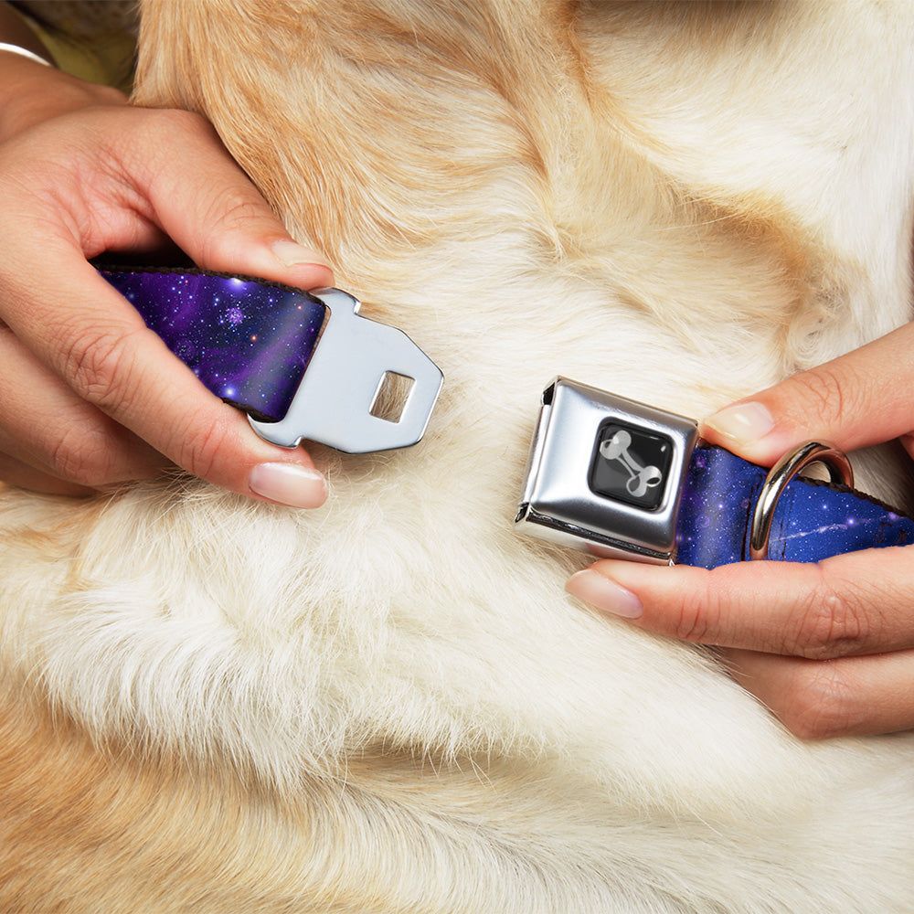 Dog Bone Seatbelt Buckle Collar - Galaxy Blues/Purples Seatbelt Buckle Collars Buckle-Down