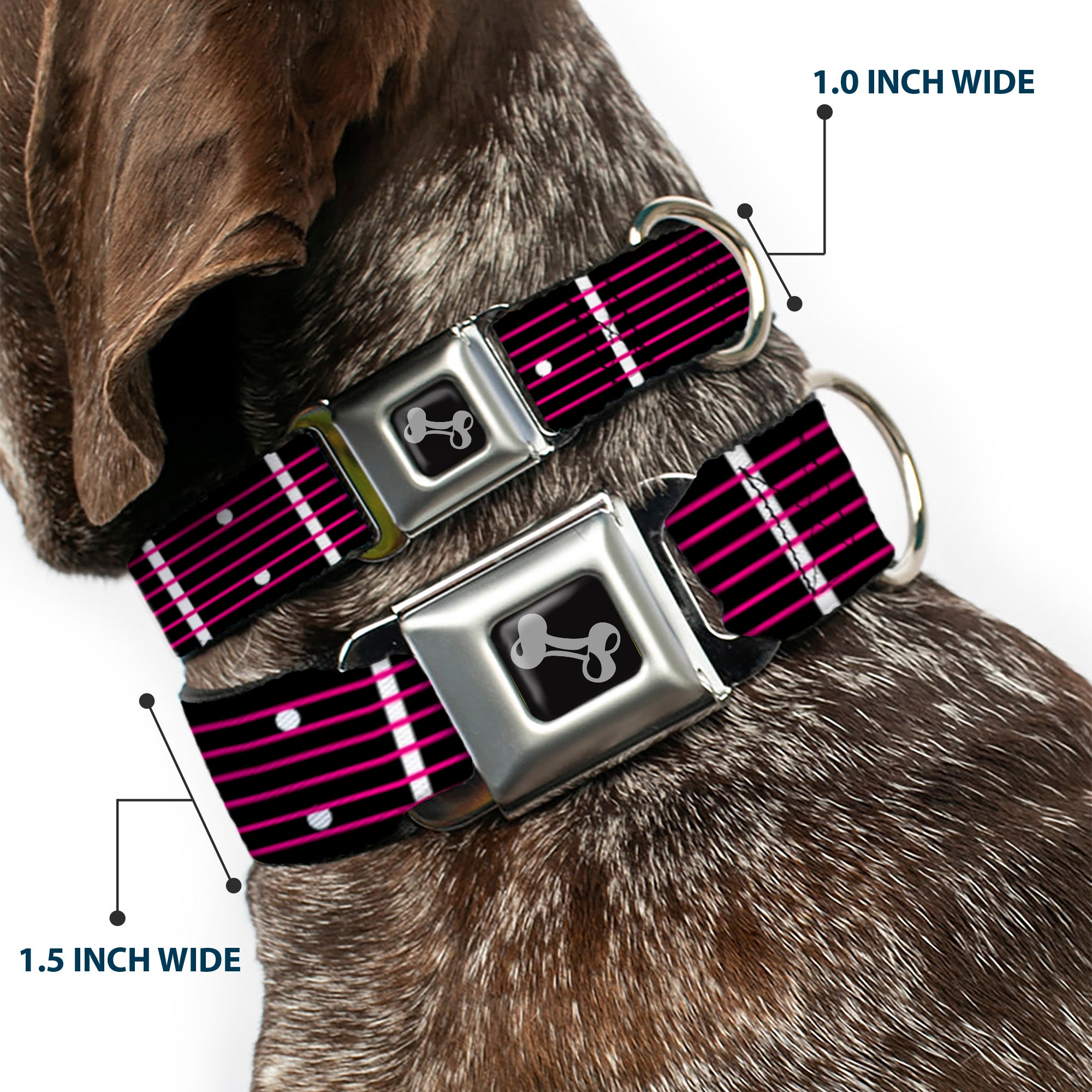 Dog Bone Seatbelt Buckle Collar - Guitar Neck Black/White/Pink Seatbelt Buckle Collars Buckle-Down