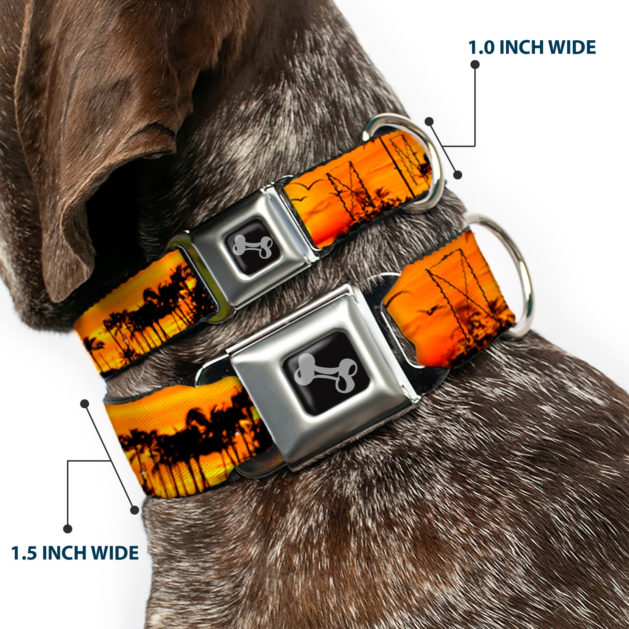 Dog Bone Seatbelt Buckle Collar - Golden Sunset Seatbelt Buckle Collars Buckle-Down