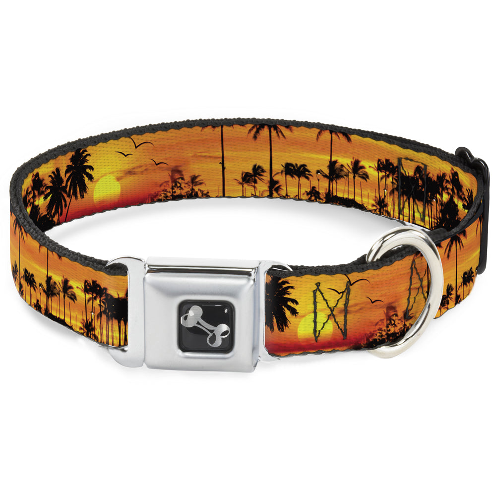 Dog Bone Seatbelt Buckle Collar - Golden Sunset Seatbelt Buckle Collars Buckle-Down